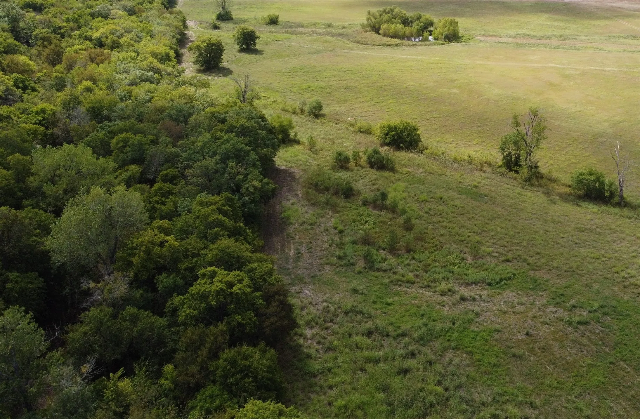 Unimproved Land For Sale in Delta County , TBD CR 2068, Klondike, Texas 75448, 0, 0, Garage spaces, 0 Sqft, built in 2008, mls#21116393, Real Estate Agent in Klondike, Homes For Sale in Delta county, Homes For Sale in Klondike, Realtor in Klondike Texas, Real Estate Brokerage Independent Realty Texas, Luminita Cordes Realtor