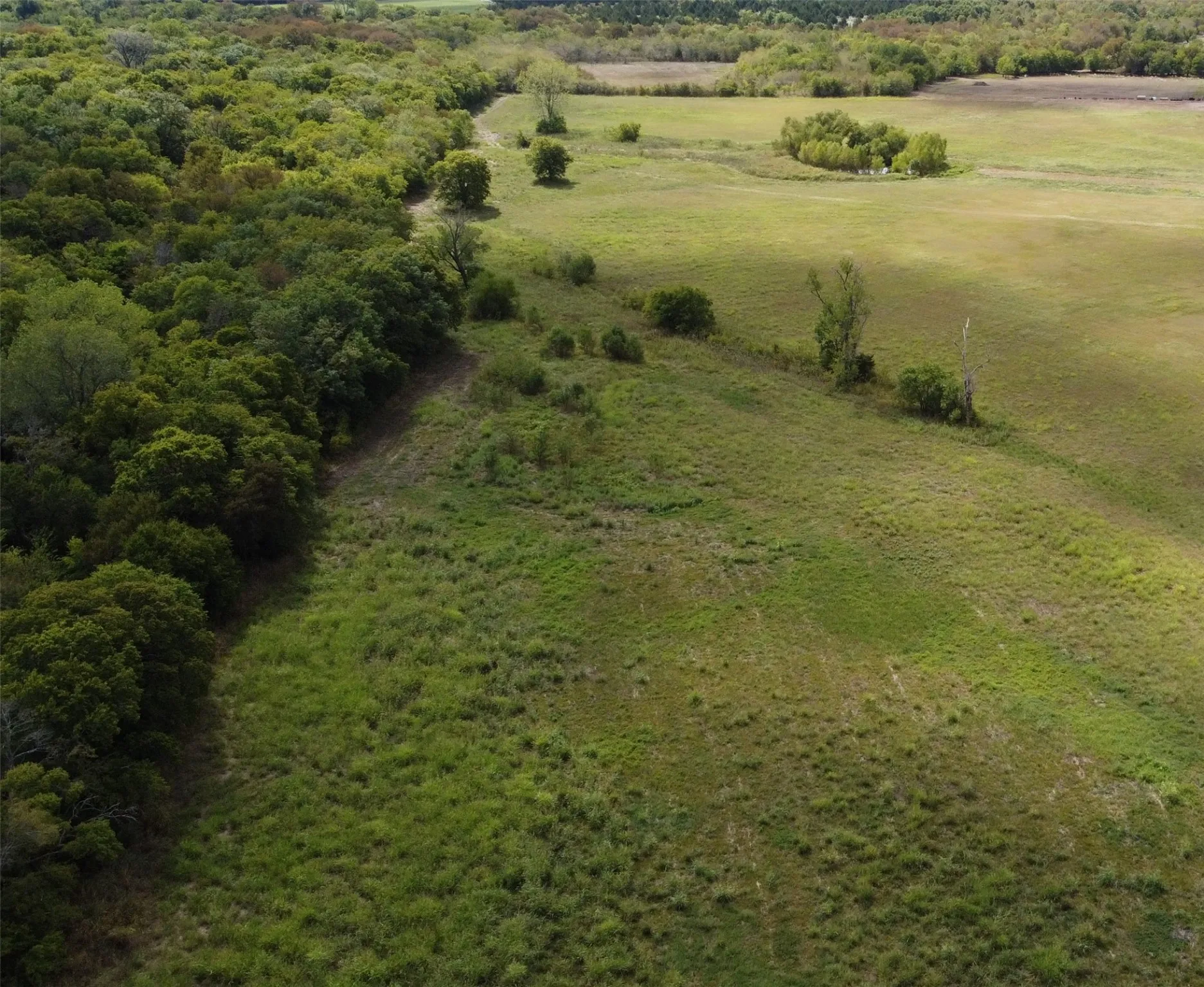 Unimproved Land For Sale in Delta County , TBD CR 2068, Klondike, Texas 75448, 0, 0, Garage spaces, 0 Sqft, built in 2008, mls#21116393, Real Estate Agent in Klondike, Homes For Sale in Delta county, Homes For Sale in Klondike, Realtor in Klondike Texas, Real Estate Brokerage Independent Realty Texas, Luminita Cordes Realtor