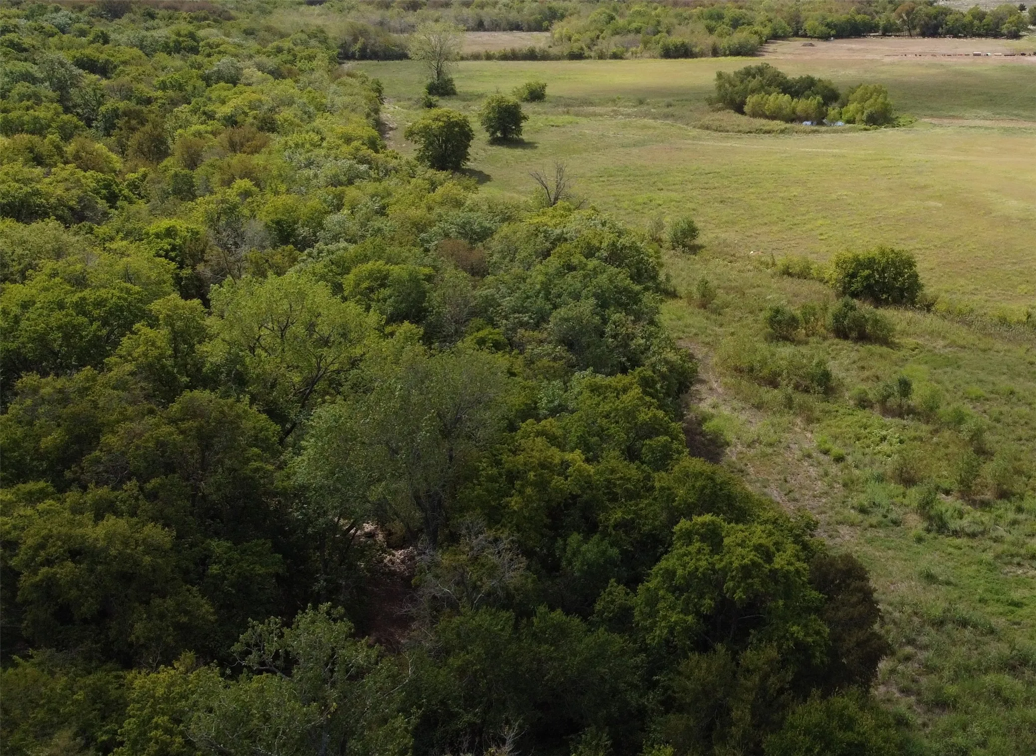 Unimproved Land For Sale in Delta County , TBD CR 2068, Klondike, Texas 75448, 0, 0, Garage spaces, 0 Sqft, built in 2008, mls#21116393, Real Estate Agent in Klondike, Homes For Sale in Delta county, Homes For Sale in Klondike, Realtor in Klondike Texas, Real Estate Brokerage Independent Realty Texas, Luminita Cordes Realtor