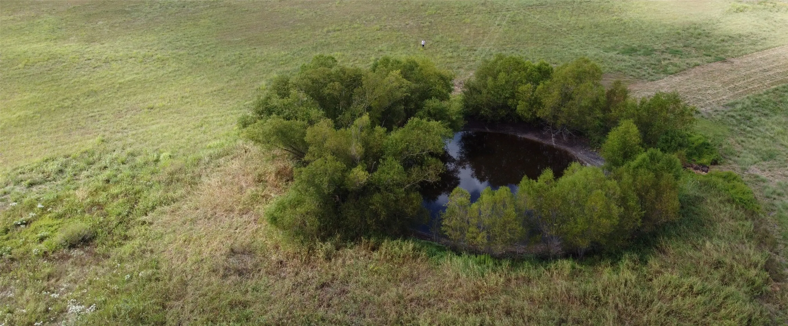 Unimproved Land For Sale in Delta County , TBD CR 2068, Klondike, Texas 75448, 0, 0, Garage spaces, 0 Sqft, built in 2008, mls#21116393, Real Estate Agent in Klondike, Homes For Sale in Delta county, Homes For Sale in Klondike, Realtor in Klondike Texas, Real Estate Brokerage Independent Realty Texas, Luminita Cordes Realtor