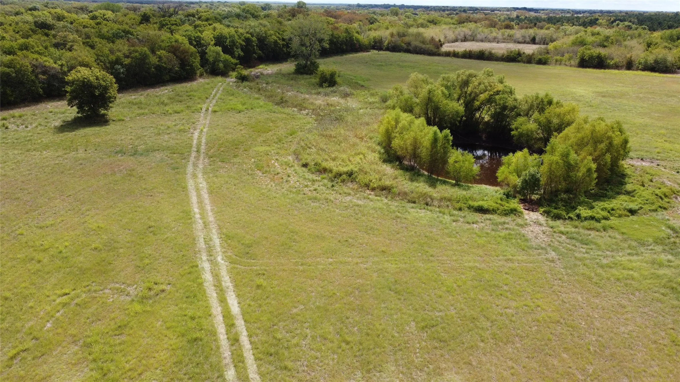 Unimproved Land For Sale in Delta County , TBD CR 2068, Klondike, Texas 75448, 0, 0, Garage spaces, 0 Sqft, built in 2008, mls#21116393, Real Estate Agent in Klondike, Homes For Sale in Delta county, Homes For Sale in Klondike, Realtor in Klondike Texas, Real Estate Brokerage Independent Realty Texas, Luminita Cordes Realtor
