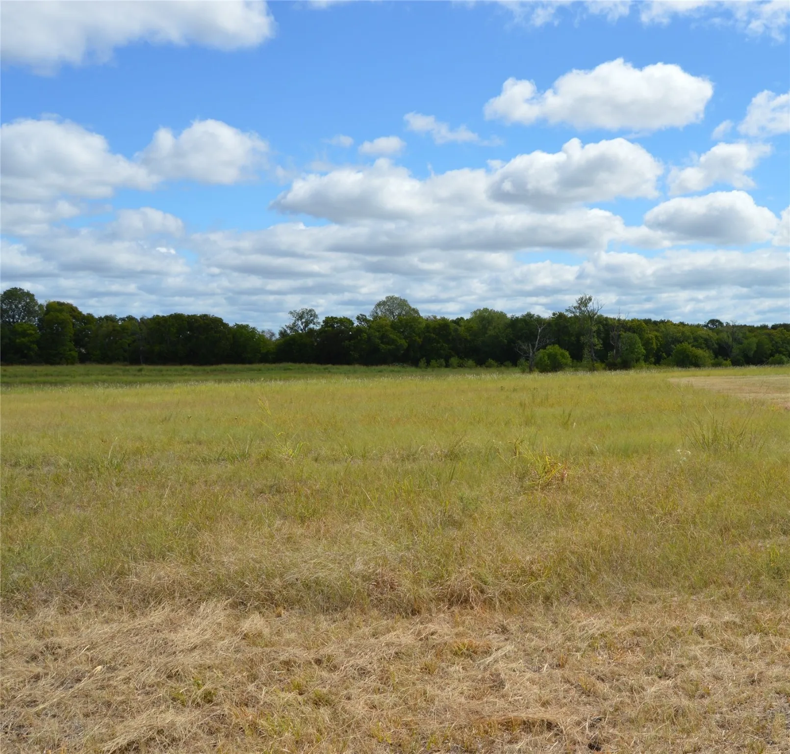 Unimproved Land For Sale in Delta County , TBD CR 2068, Klondike, Texas 75448, 0, 0, Garage spaces, 0 Sqft, built in 2008, mls#21116393, Real Estate Agent in Klondike, Homes For Sale in Delta county, Homes For Sale in Klondike, Realtor in Klondike Texas, Real Estate Brokerage Independent Realty Texas, Luminita Cordes Realtor