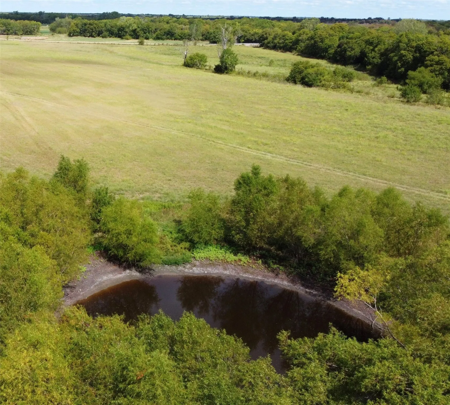 Unimproved Land For Sale in Delta County , TBD CR 2068, Klondike, Texas 75448, 0, 0, Garage spaces, 0 Sqft, built in 2008, mls#21116393, Real Estate Agent in Klondike, Homes For Sale in Delta county, Homes For Sale in Klondike, Realtor in Klondike Texas, Real Estate Brokerage Independent Realty Texas, Luminita Cordes Realtor