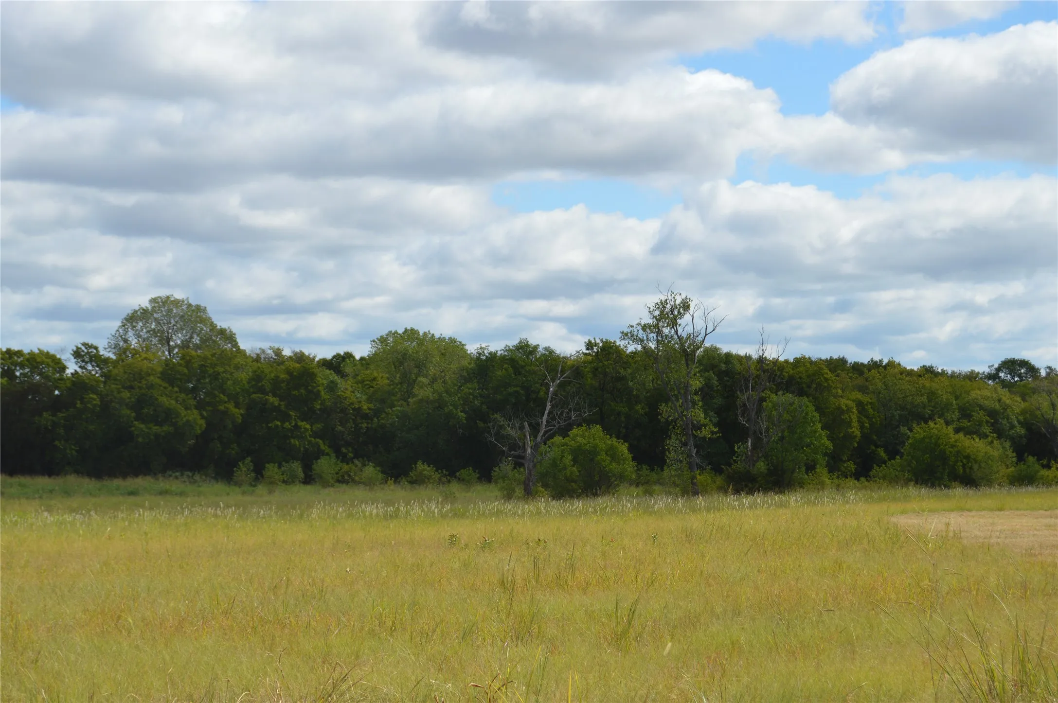 Unimproved Land For Sale in Delta County , TBD CR 2068, Klondike, Texas 75448, 0, 0, Garage spaces, 0 Sqft, built in 2008, mls#21116393, Real Estate Agent in Klondike, Homes For Sale in Delta county, Homes For Sale in Klondike, Realtor in Klondike Texas, Real Estate Brokerage Independent Realty Texas, Luminita Cordes Realtor