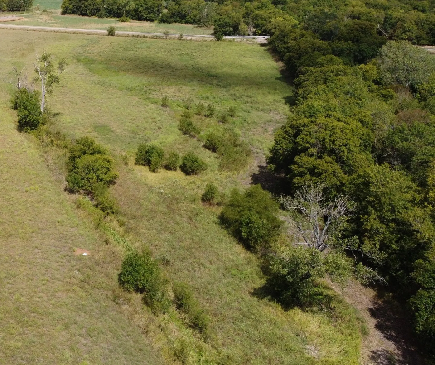 Unimproved Land For Sale in Delta County , TBD CR 2068, Klondike, Texas 75448, 0, 0, Garage spaces, 0 Sqft, built in 2008, mls#21116393, Real Estate Agent in Klondike, Homes For Sale in Delta county, Homes For Sale in Klondike, Realtor in Klondike Texas, Real Estate Brokerage Independent Realty Texas, Luminita Cordes Realtor