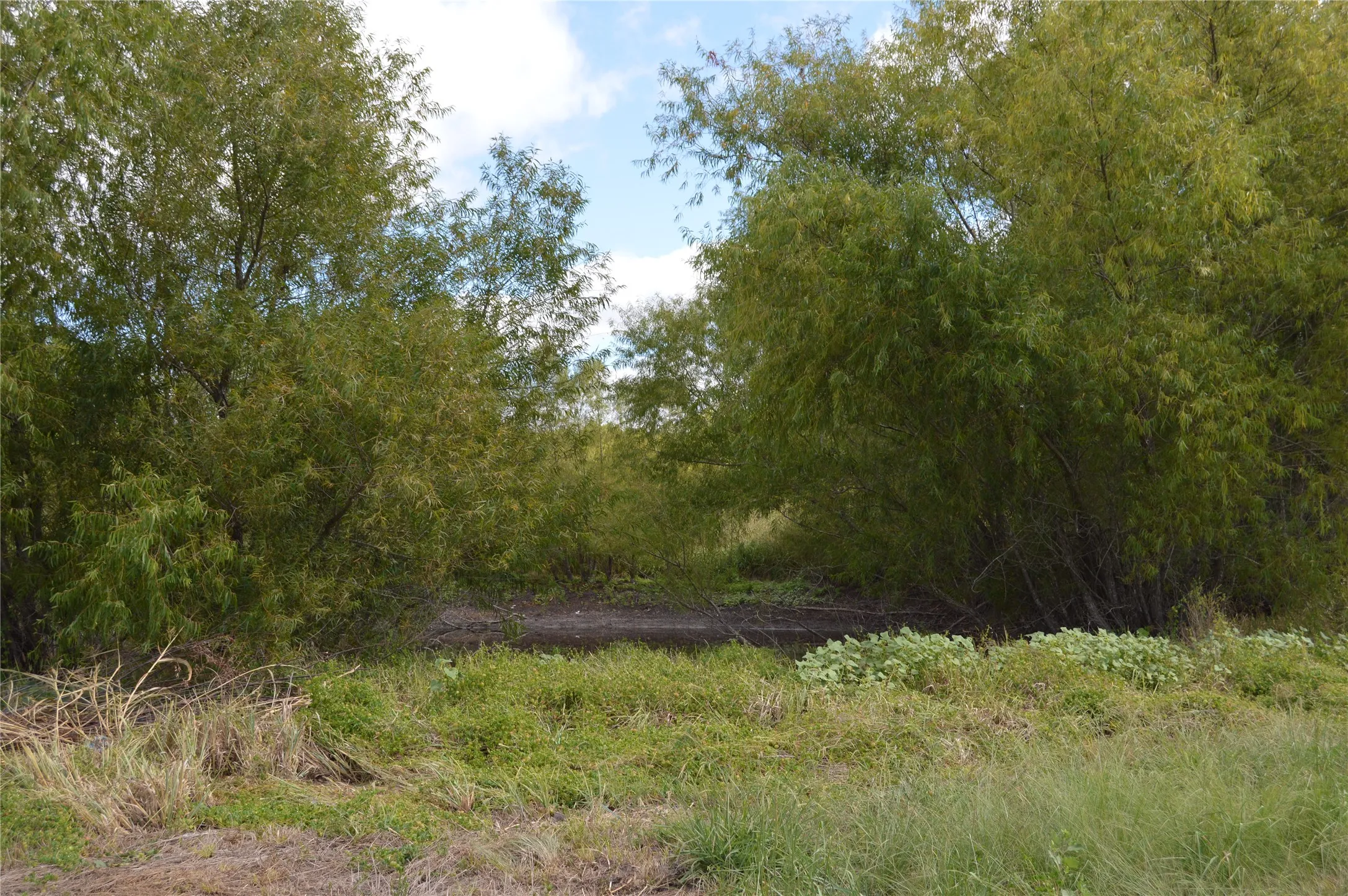 Unimproved Land For Sale in Delta County , TBD CR 2068, Klondike, Texas 75448, 0, 0, Garage spaces, 0 Sqft, built in 2008, mls#21116393, Real Estate Agent in Klondike, Homes For Sale in Delta county, Homes For Sale in Klondike, Realtor in Klondike Texas, Real Estate Brokerage Independent Realty Texas, Luminita Cordes Realtor