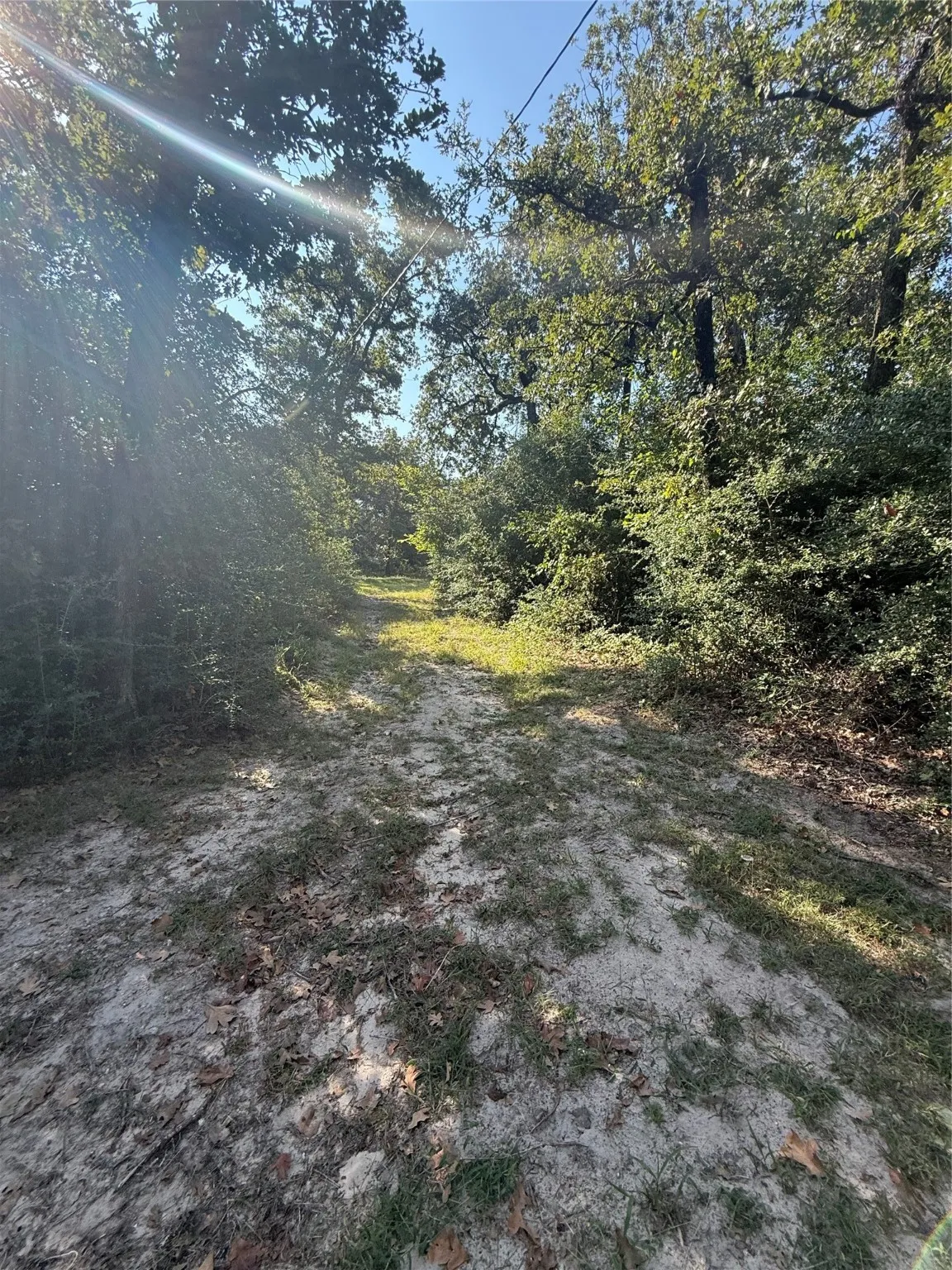 Farm For Sale in Limestone County , 117A Lcr 702, Kosse, Texas 76653, 1 Bedroom, 1 Bathroom, Garage spaces, 496 Sqft, built in 2008, mls#21111790, Real Estate Agent in Kosse, Homes For Sale in Limestone county, Homes For Sale in Kosse, Realtor in Kosse Texas, Real Estate Brokerage Independent Realty Texas, Luminita Cordes Realtor
