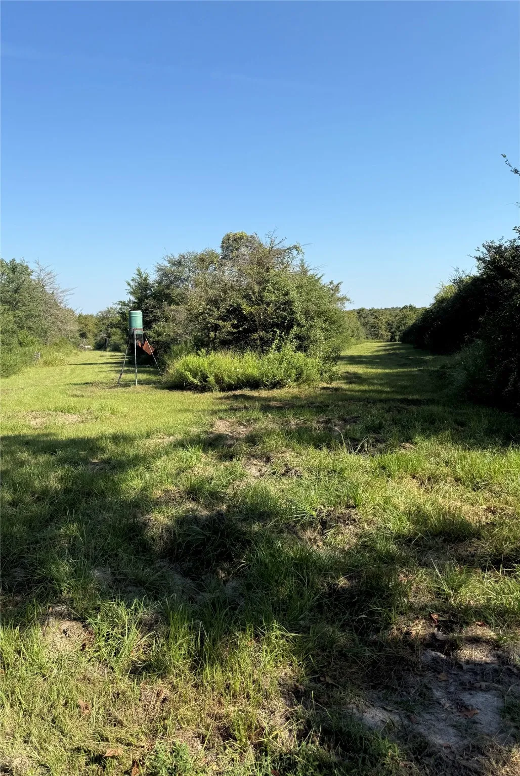 Farm For Sale in Limestone County , 117A Lcr 702, Kosse, Texas 76653, 1 Bedroom, 1 Bathroom, Garage spaces, 496 Sqft, built in 2008, mls#21111790, Real Estate Agent in Kosse, Homes For Sale in Limestone county, Homes For Sale in Kosse, Realtor in Kosse Texas, Real Estate Brokerage Independent Realty Texas, Luminita Cordes Realtor
