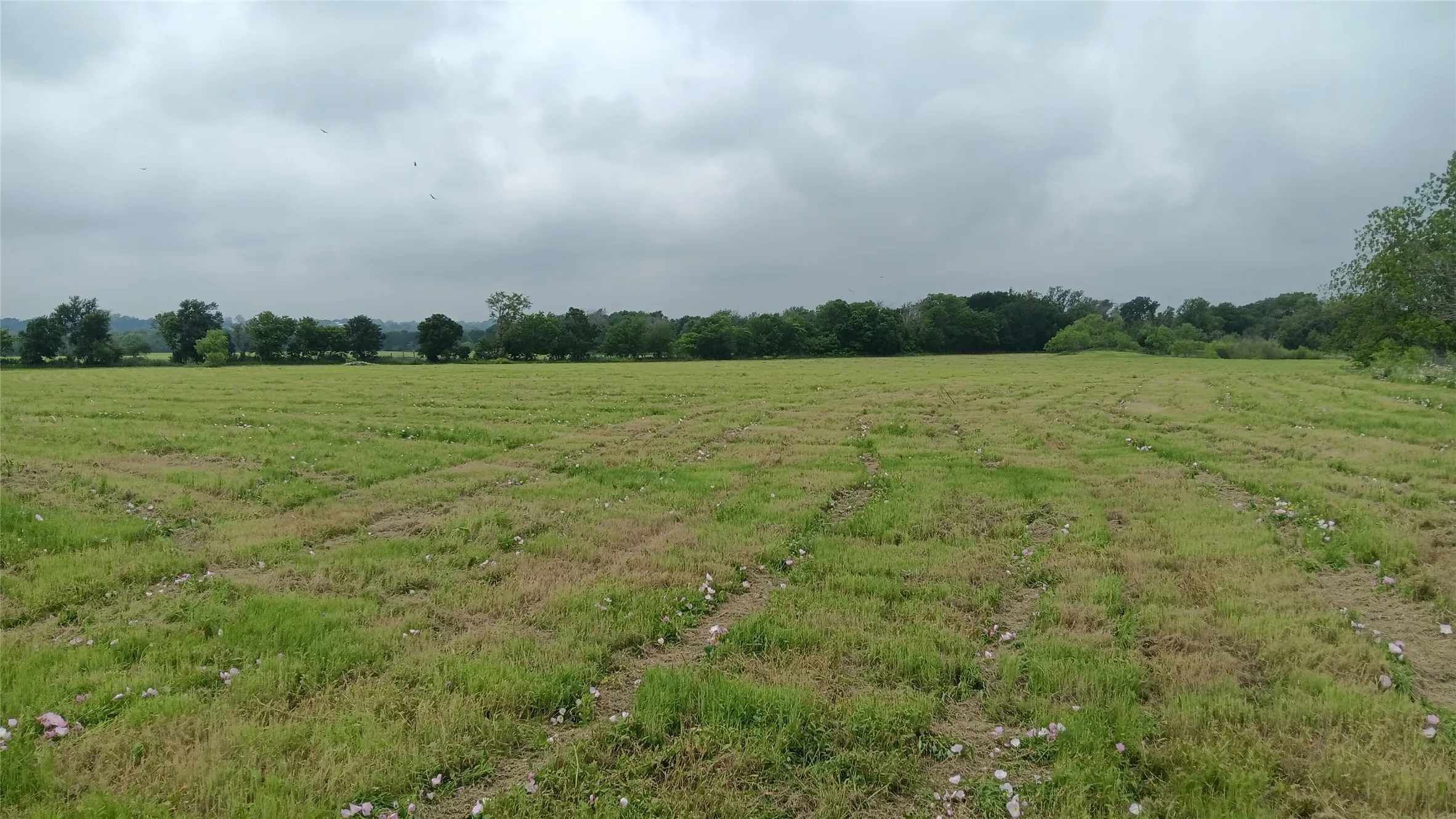 Ranch For Sale in Falls County , TBD Hwy 7, Chilton, Texas 76632, 0, 0, Garage spaces, 0 Sqft, built in 0, mls#21111156, Real Estate Agent in Chilton, Homes For Sale in Falls county, Homes For Sale in Chilton, Realtor in Chilton Texas, Real Estate Brokerage Independent Realty Texas, Luminita Cordes Realtor