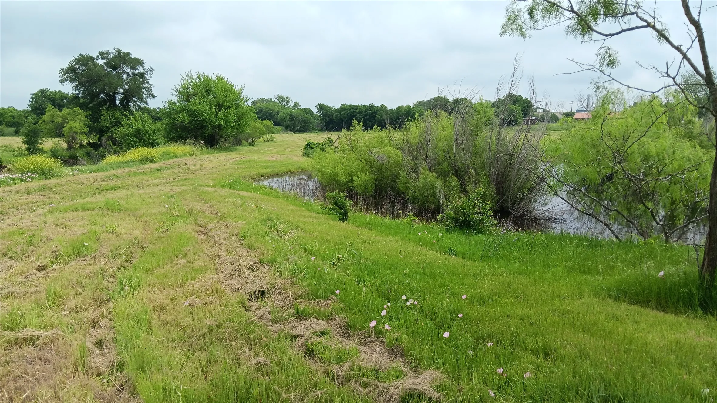 Ranch For Sale in Falls County , TBD Hwy 7, Chilton, Texas 76632, 0, 0, Garage spaces, 0 Sqft, built in 0, mls#21111156, Real Estate Agent in Chilton, Homes For Sale in Falls county, Homes For Sale in Chilton, Realtor in Chilton Texas, Real Estate Brokerage Independent Realty Texas, Luminita Cordes Realtor
