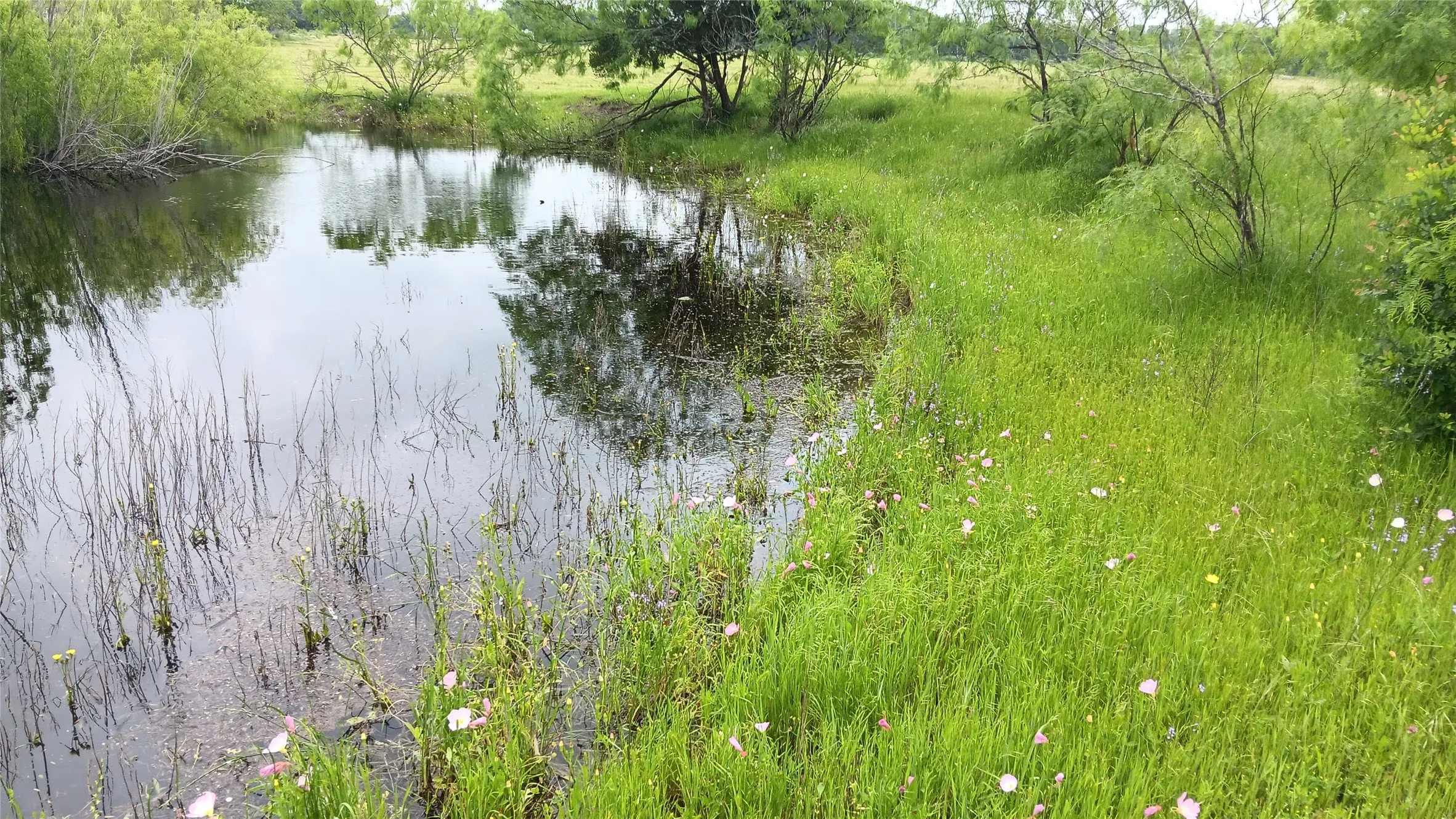 Ranch For Sale in Falls County , TBD Hwy 7, Chilton, Texas 76632, 0, 0, Garage spaces, 0 Sqft, built in 0, mls#21111156, Real Estate Agent in Chilton, Homes For Sale in Falls county, Homes For Sale in Chilton, Realtor in Chilton Texas, Real Estate Brokerage Independent Realty Texas, Luminita Cordes Realtor