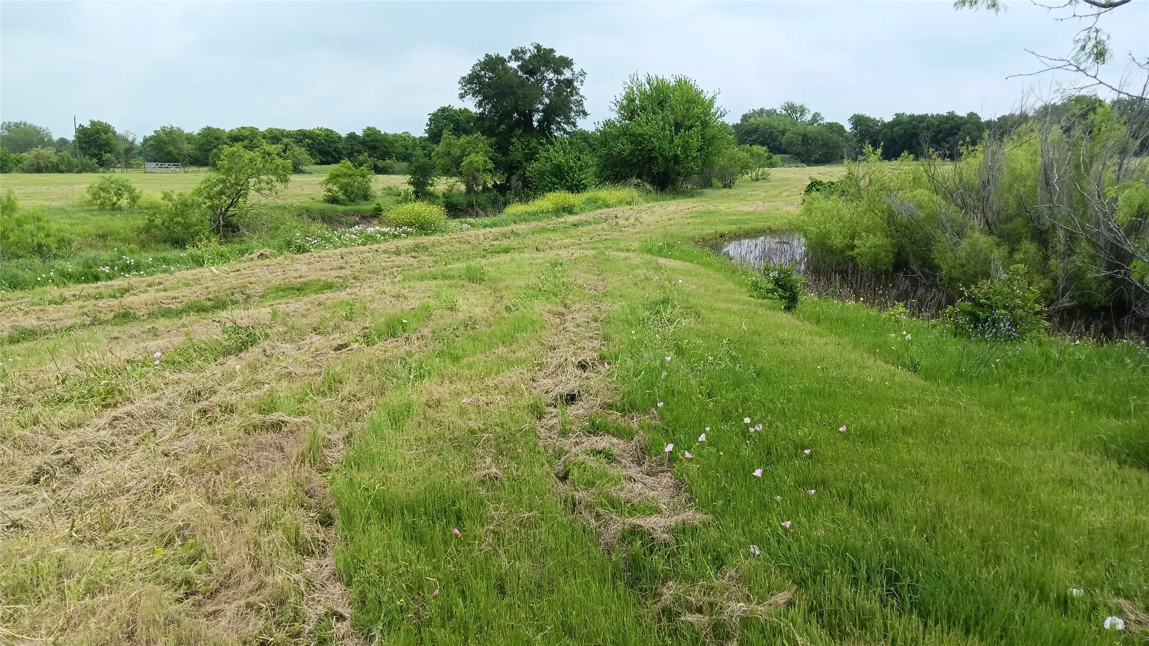 Ranch For Sale in Falls County , TBD Hwy 7, Chilton, Texas 76632, 0, 0, Garage spaces, 0 Sqft, built in 0, mls#21111156, Real Estate Agent in Chilton, Homes For Sale in Falls county, Homes For Sale in Chilton, Realtor in Chilton Texas, Real Estate Brokerage Independent Realty Texas, Luminita Cordes Realtor