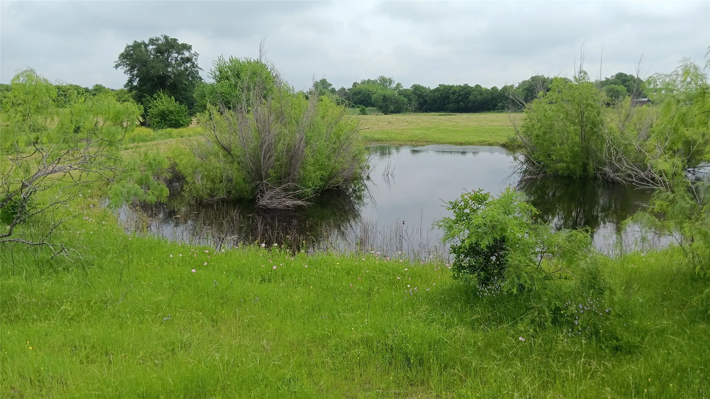 Ranch For Sale in Falls County , TBD Hwy 7, Chilton, Texas 76632, 0, 0, Garage spaces, 0 Sqft, built in 0, mls#21111156, Real Estate Agent in Chilton, Homes For Sale in Falls county, Homes For Sale in Chilton, Realtor in Chilton Texas, Real Estate Brokerage Independent Realty Texas, Luminita Cordes Realtor