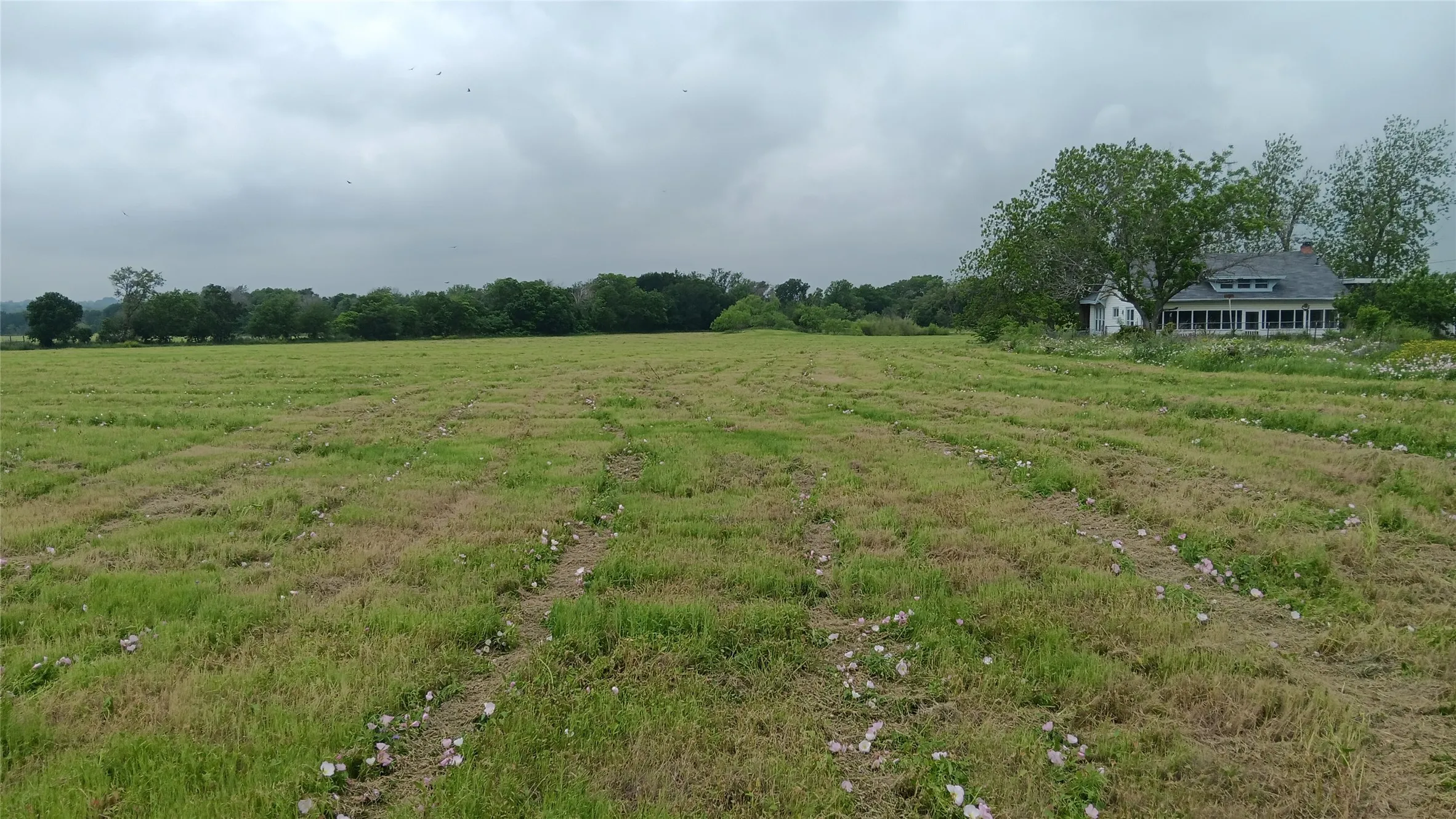 Ranch For Sale in Falls County , TBD Hwy 7, Chilton, Texas 76632, 0, 0, Garage spaces, 0 Sqft, built in 0, mls#21111156, Real Estate Agent in Chilton, Homes For Sale in Falls county, Homes For Sale in Chilton, Realtor in Chilton Texas, Real Estate Brokerage Independent Realty Texas, Luminita Cordes Realtor