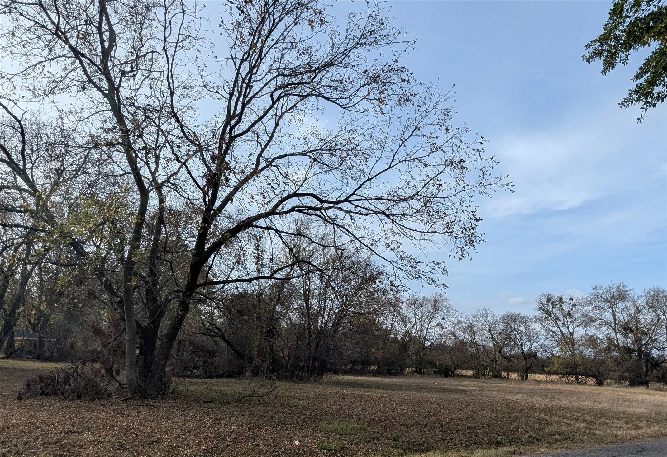 Unimproved Land For Sale in Fannin County , 815 Seven Oaks Road, Bonham, Texas 75418, 0, 0, Garage spaces, 0 Sqft, built in 0, mls#21116674, Real Estate Agent in Bonham, Homes For Sale in Fannin county, Homes For Sale in Bonham, Realtor in Bonham Texas, Real Estate Brokerage Independent Realty Texas, Luminita Cordes Realtor