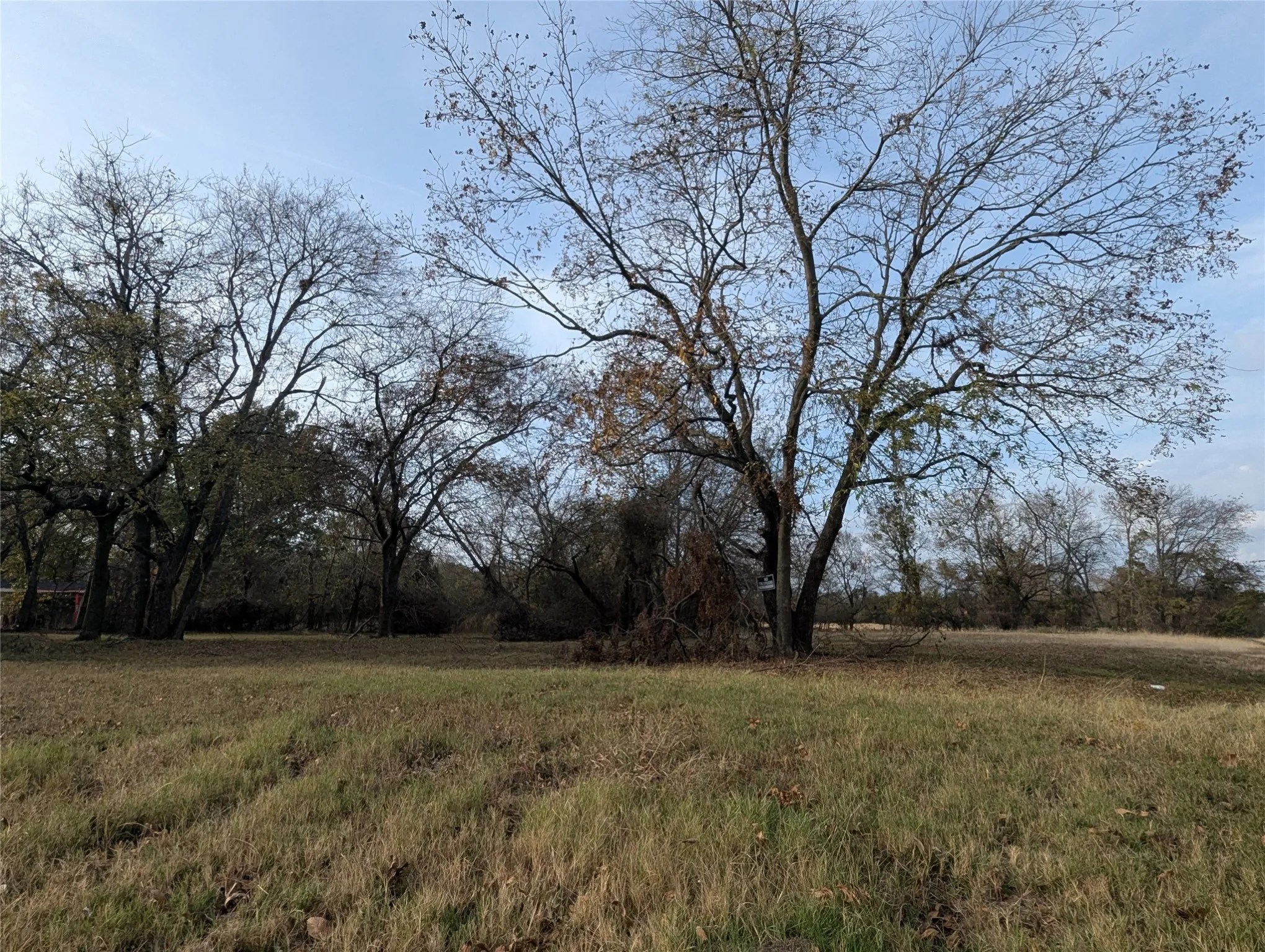 Unimproved Land For Sale in Fannin County , 815 Seven Oaks Road, Bonham, Texas 75418, 0, 0, Garage spaces, 0 Sqft, built in 0, mls#21116674, Real Estate Agent in Bonham, Homes For Sale in Fannin county, Homes For Sale in Bonham, Realtor in Bonham Texas, Real Estate Brokerage Independent Realty Texas, Luminita Cordes Realtor