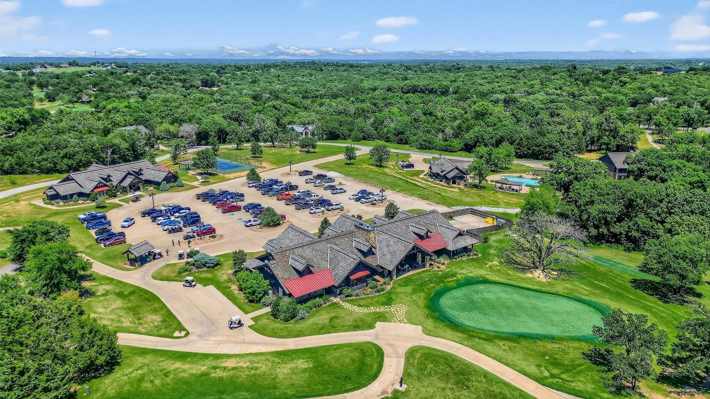 Aerial view of a forest