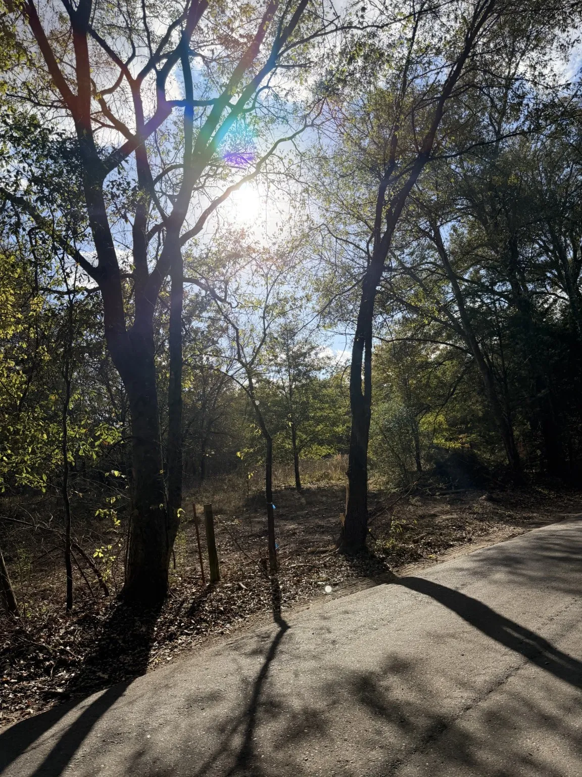 Unimproved Land For Sale in Rains County , Lot #7 RS County Road 1150, Emory, Texas 75440, 0, 0, Garage spaces, 0 Sqft, built in 0, Price $172,750, mls#21116754, Real Estate Agent in Emory, Homes For Sale in Rains county, Homes For Sale in Emory, Realtor in Emory Texas, Real Estate Brokerage Independent Realty Texas, Luminita Cordes Realtor