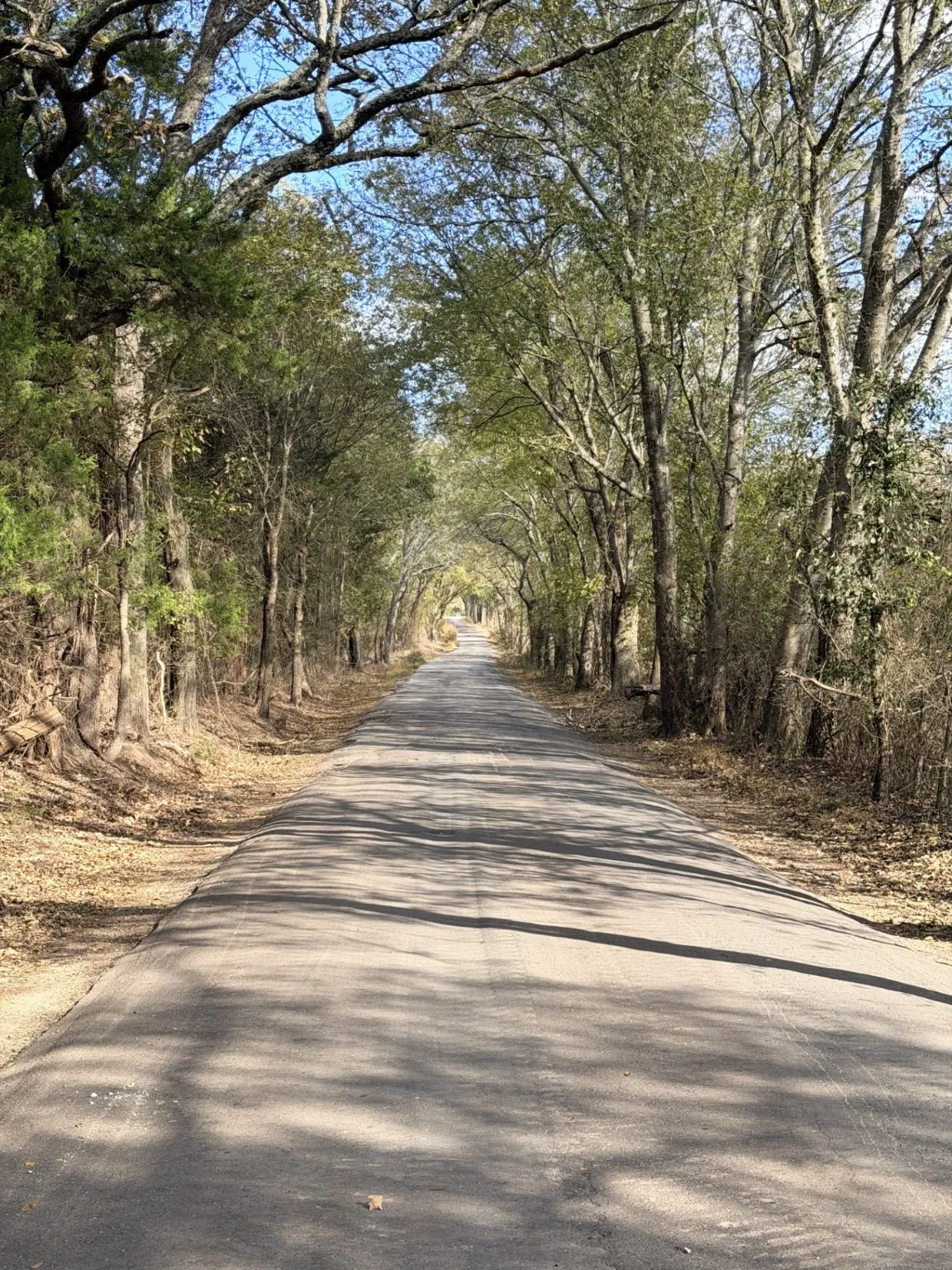 Unimproved Land For Sale in Rains County , Lot #7 RS County Road 1150, Emory, Texas 75440, 0, 0, Garage spaces, 0 Sqft, built in 0, Price $172,750, mls#21116754, Real Estate Agent in Emory, Homes For Sale in Rains county, Homes For Sale in Emory, Realtor in Emory Texas, Real Estate Brokerage Independent Realty Texas, Luminita Cordes Realtor