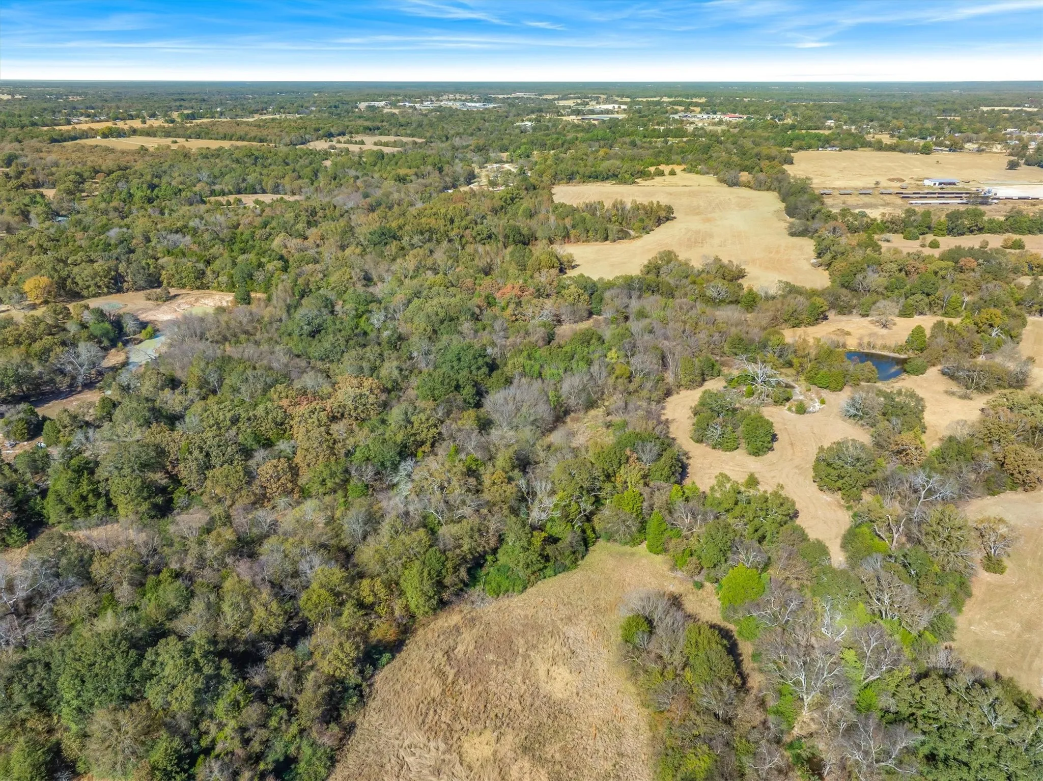Unimproved Land For Sale in Rains County , Lot #7 RS County Road 1150, Emory, Texas 75440, 0, 0, Garage spaces, 0 Sqft, built in 0, Price $172,750, mls#21116754, Real Estate Agent in Emory, Homes For Sale in Rains county, Homes For Sale in Emory, Realtor in Emory Texas, Real Estate Brokerage Independent Realty Texas, Luminita Cordes Realtor