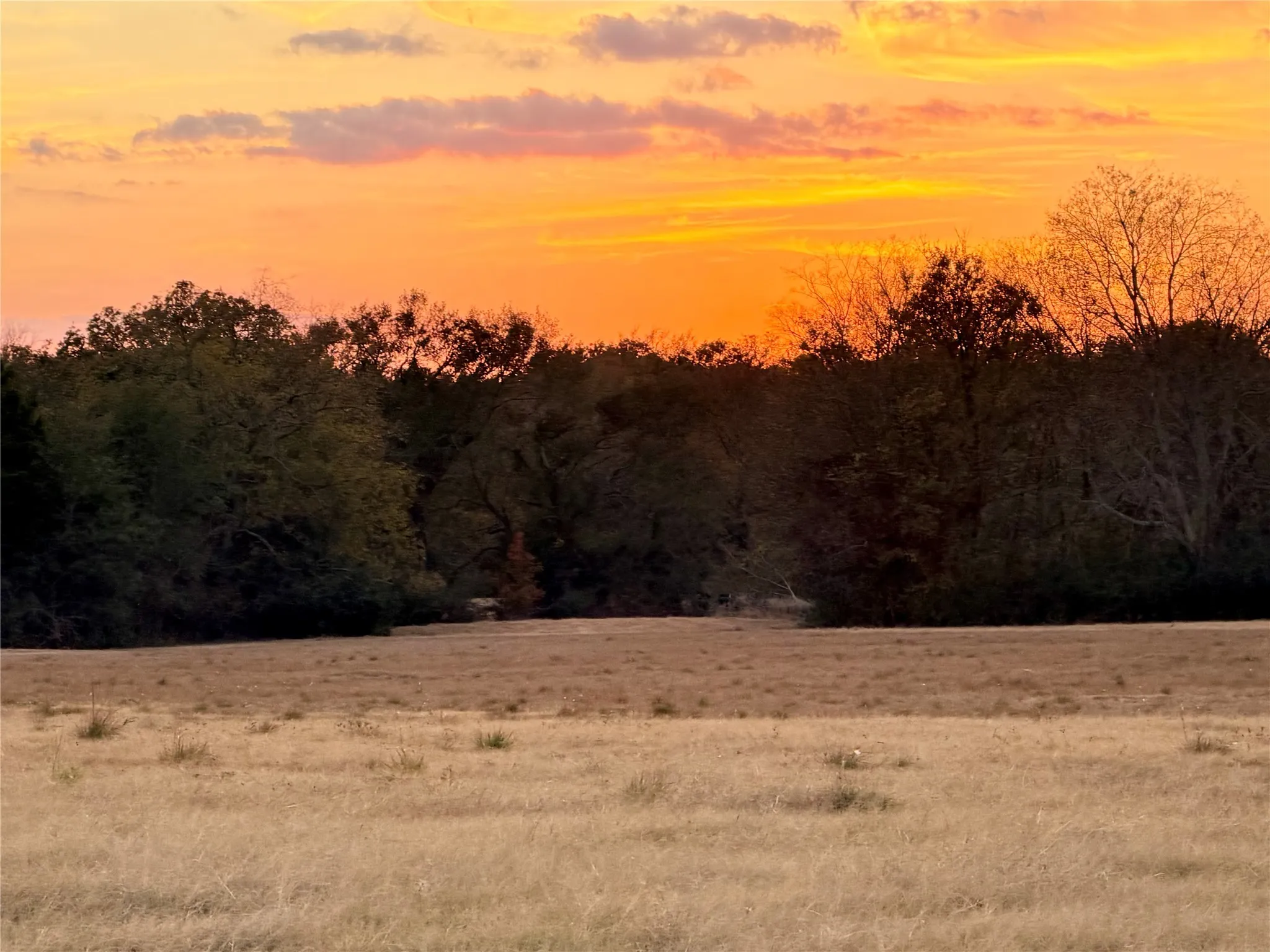 Unimproved Land For Sale in Rains County , Lot #7 RS County Road 1150, Emory, Texas 75440, 0, 0, Garage spaces, 0 Sqft, built in 0, Price $172,750, mls#21116754, Real Estate Agent in Emory, Homes For Sale in Rains county, Homes For Sale in Emory, Realtor in Emory Texas, Real Estate Brokerage Independent Realty Texas, Luminita Cordes Realtor