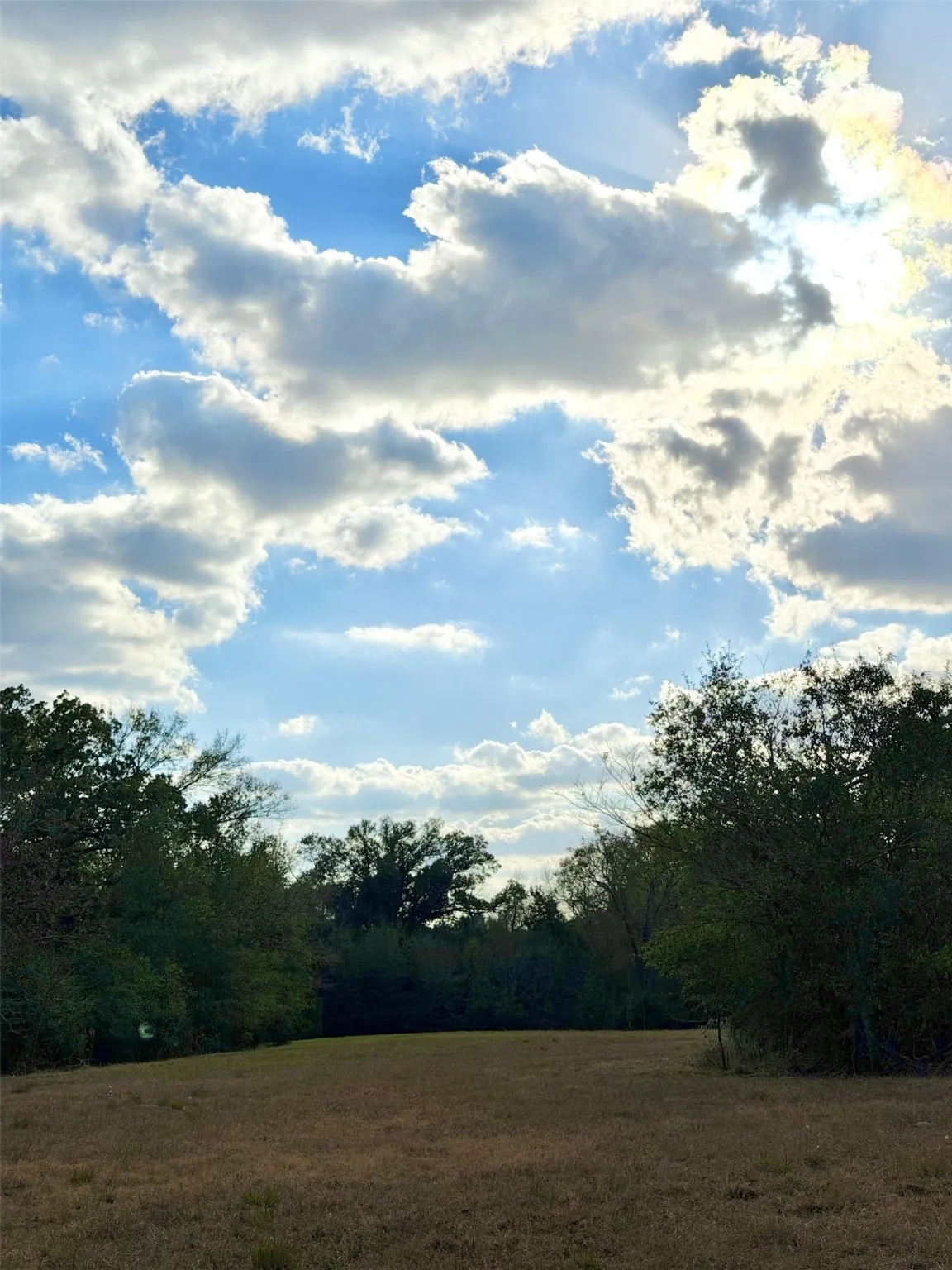 Unimproved Land For Sale in Rains County , Lot #7 RS County Road 1150, Emory, Texas 75440, 0, 0, Garage spaces, 0 Sqft, built in 0, Price $172,750, mls#21116754, Real Estate Agent in Emory, Homes For Sale in Rains county, Homes For Sale in Emory, Realtor in Emory Texas, Real Estate Brokerage Independent Realty Texas, Luminita Cordes Realtor