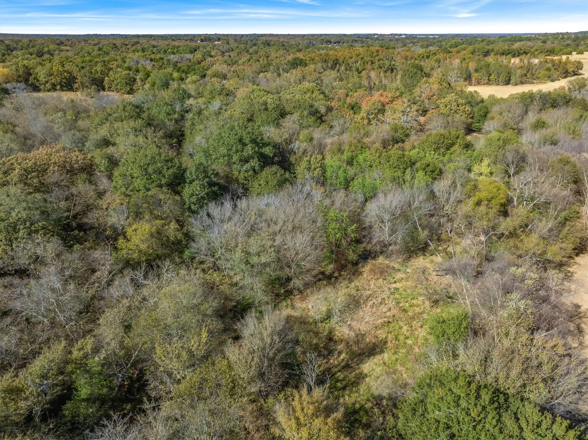 Unimproved Land For Sale in Rains County , Lot #7 RS County Road 1150, Emory, Texas 75440, 0, 0, Garage spaces, 0 Sqft, built in 0, Price $172,750, mls#21116754, Real Estate Agent in Emory, Homes For Sale in Rains county, Homes For Sale in Emory, Realtor in Emory Texas, Real Estate Brokerage Independent Realty Texas, Luminita Cordes Realtor