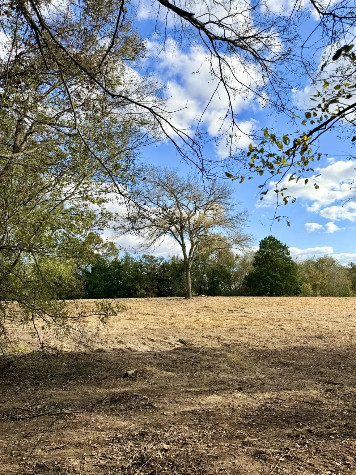 Unimproved Land For Sale in Rains County , Lot #7 RS County Road 1150, Emory, Texas 75440, 0, 0, Garage spaces, 0 Sqft, built in 0, Price $172,750, mls#21116754, Real Estate Agent in Emory, Homes For Sale in Rains county, Homes For Sale in Emory, Realtor in Emory Texas, Real Estate Brokerage Independent Realty Texas, Luminita Cordes Realtor