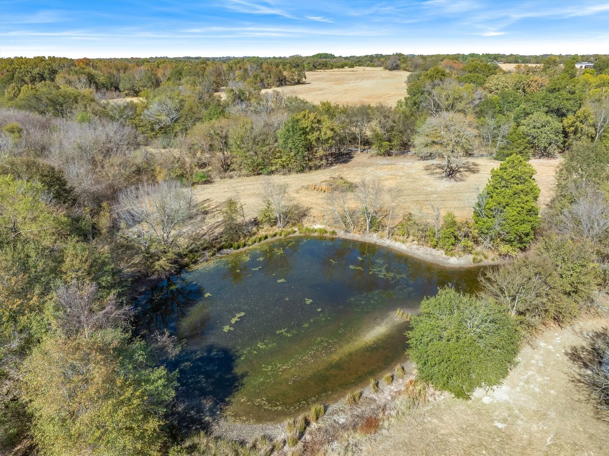 Unimproved Land For Sale in Rains County , Lot #7 RS County Road 1150, Emory, Texas 75440, 0, 0, Garage spaces, 0 Sqft, built in 0, Price $172,750, mls#21116754, Real Estate Agent in Emory, Homes For Sale in Rains county, Homes For Sale in Emory, Realtor in Emory Texas, Real Estate Brokerage Independent Realty Texas, Luminita Cordes Realtor