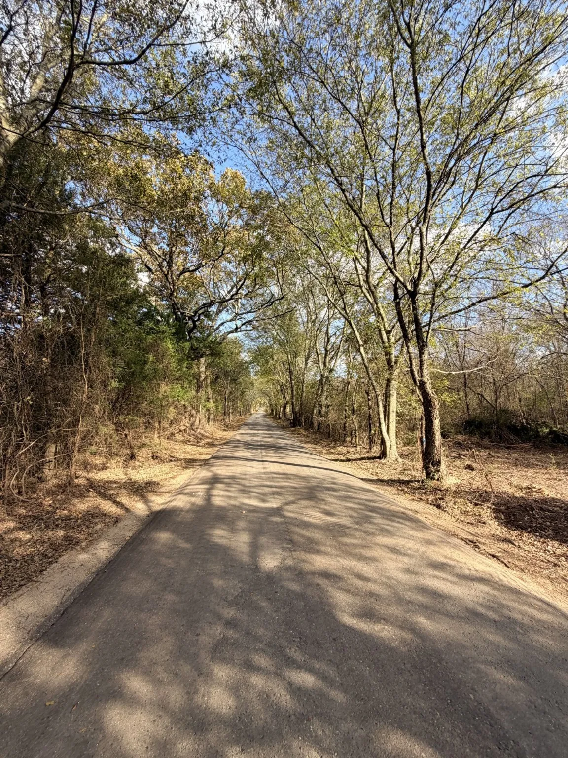 Unimproved Land For Sale in Rains County , Lot #7 RS County Road 1150, Emory, Texas 75440, 0, 0, Garage spaces, 0 Sqft, built in 0, Price $172,750, mls#21116754, Real Estate Agent in Emory, Homes For Sale in Rains county, Homes For Sale in Emory, Realtor in Emory Texas, Real Estate Brokerage Independent Realty Texas, Luminita Cordes Realtor