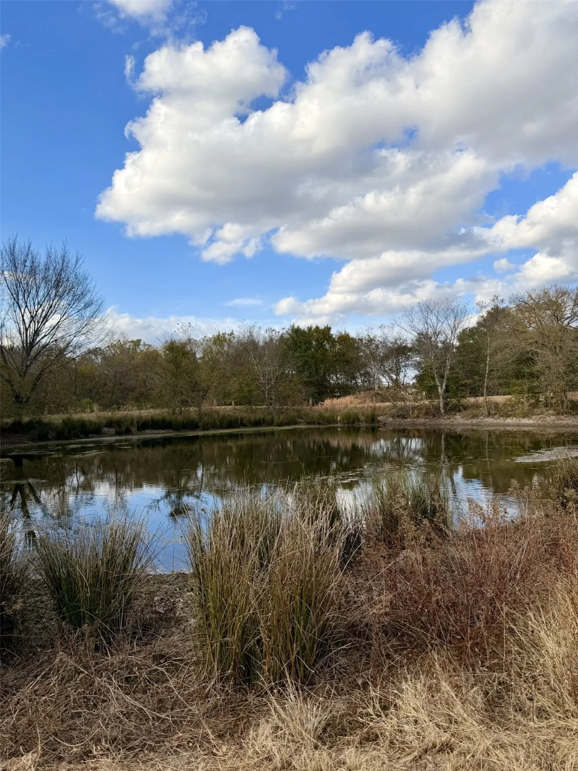 Unimproved Land For Sale in Rains County , Lot #7 RS County Road 1150, Emory, Texas 75440, 0, 0, Garage spaces, 0 Sqft, built in 0, Price $172,750, mls#21116754, Real Estate Agent in Emory, Homes For Sale in Rains county, Homes For Sale in Emory, Realtor in Emory Texas, Real Estate Brokerage Independent Realty Texas, Luminita Cordes Realtor