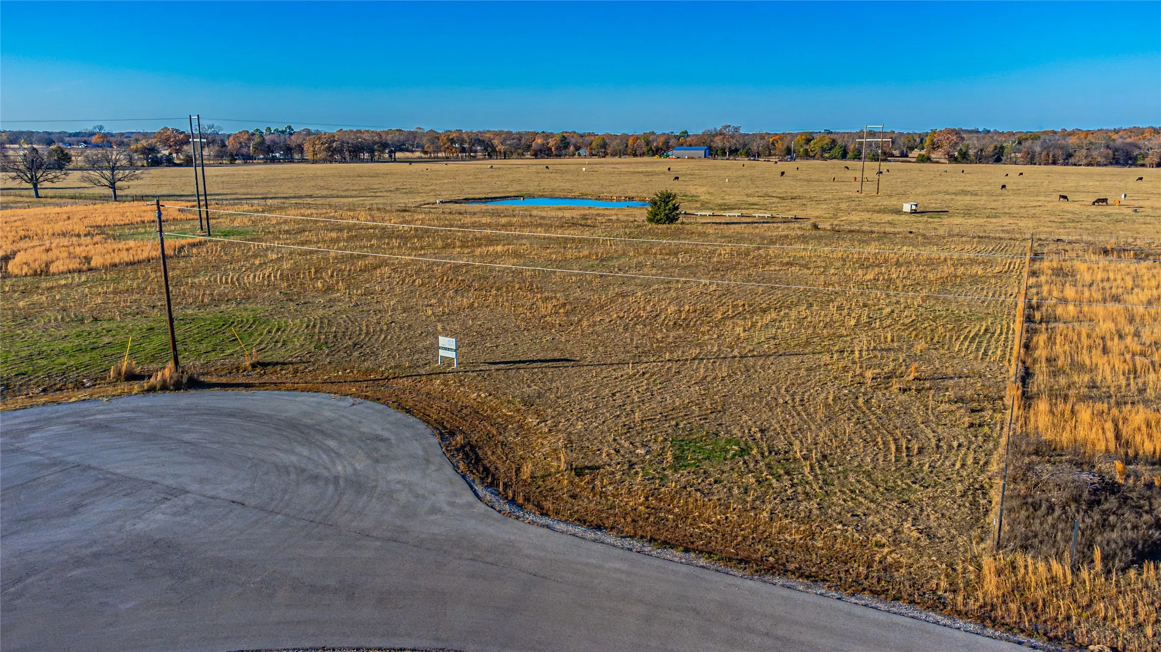 Unimproved Land For Sale in Rains County , TBD PR 5304, Emory, Texas 75440, 0, 0, Garage spaces, 0 Sqft, built in 0, mls#21116826, Real Estate Agent in Emory, Homes For Sale in Rains county, Homes For Sale in Emory, Realtor in Emory Texas, Real Estate Brokerage Independent Realty Texas, Luminita Cordes Realtor