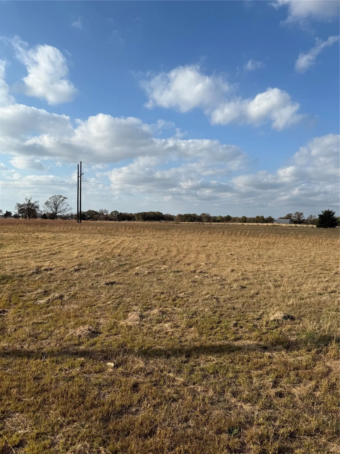 View of local wilderness featuring rural landscape