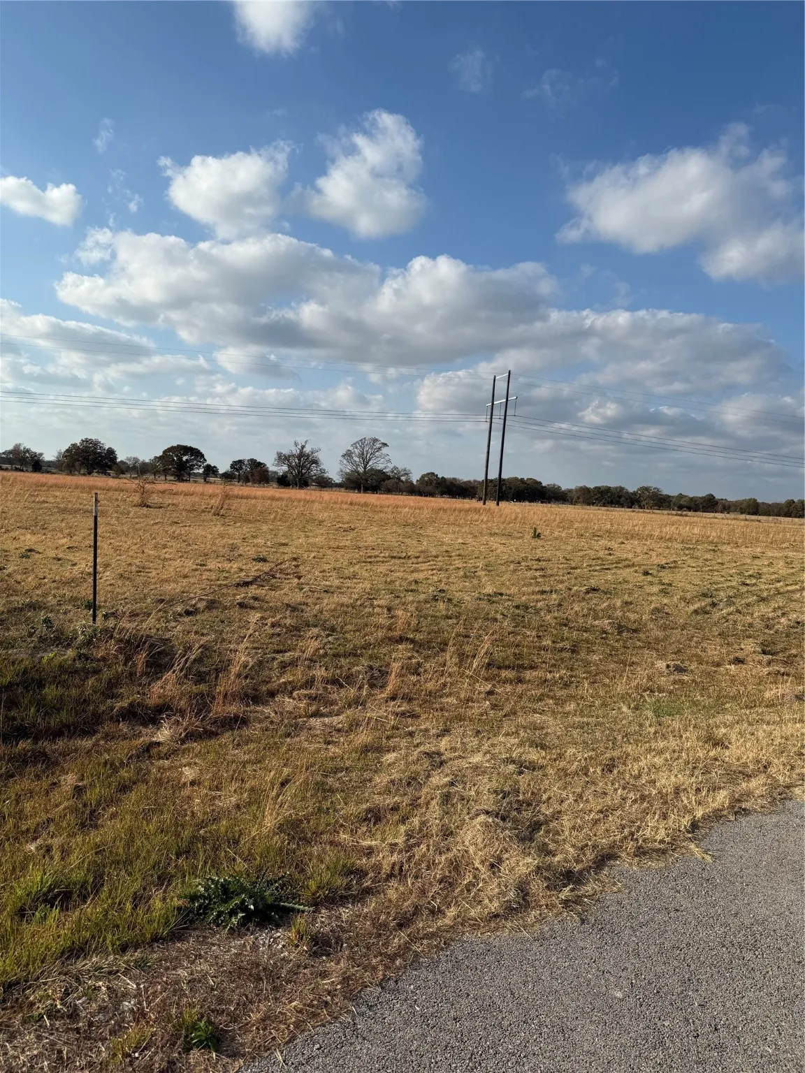 View of yard featuring a view of rural / pastoral area