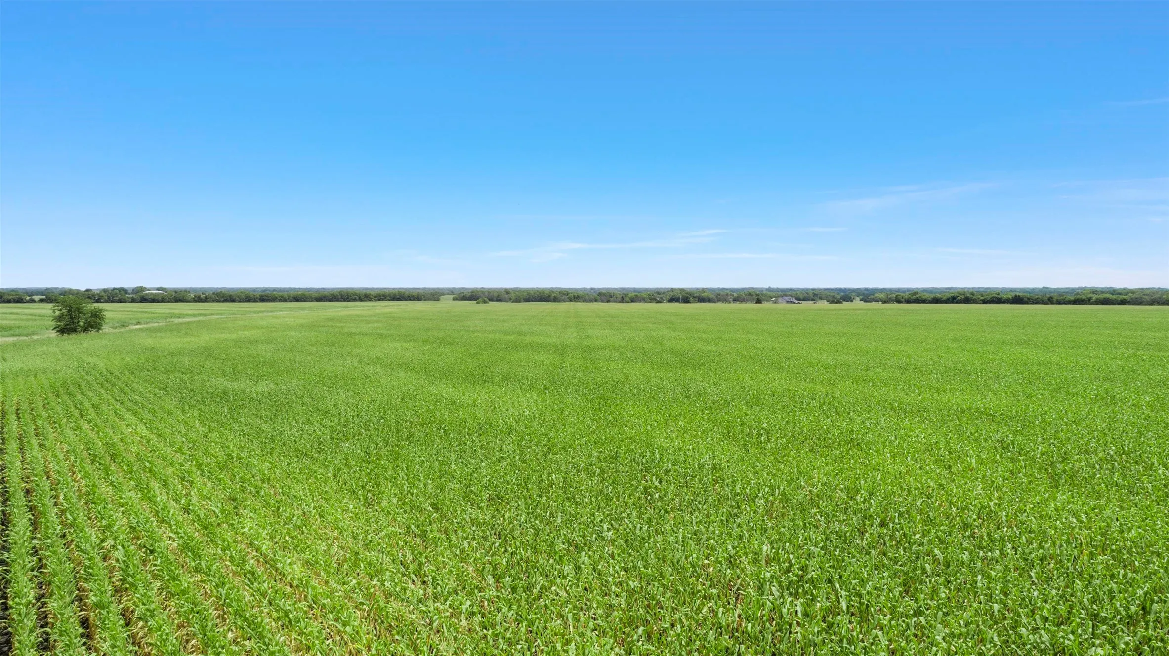 View of undeveloped land with rural landscape