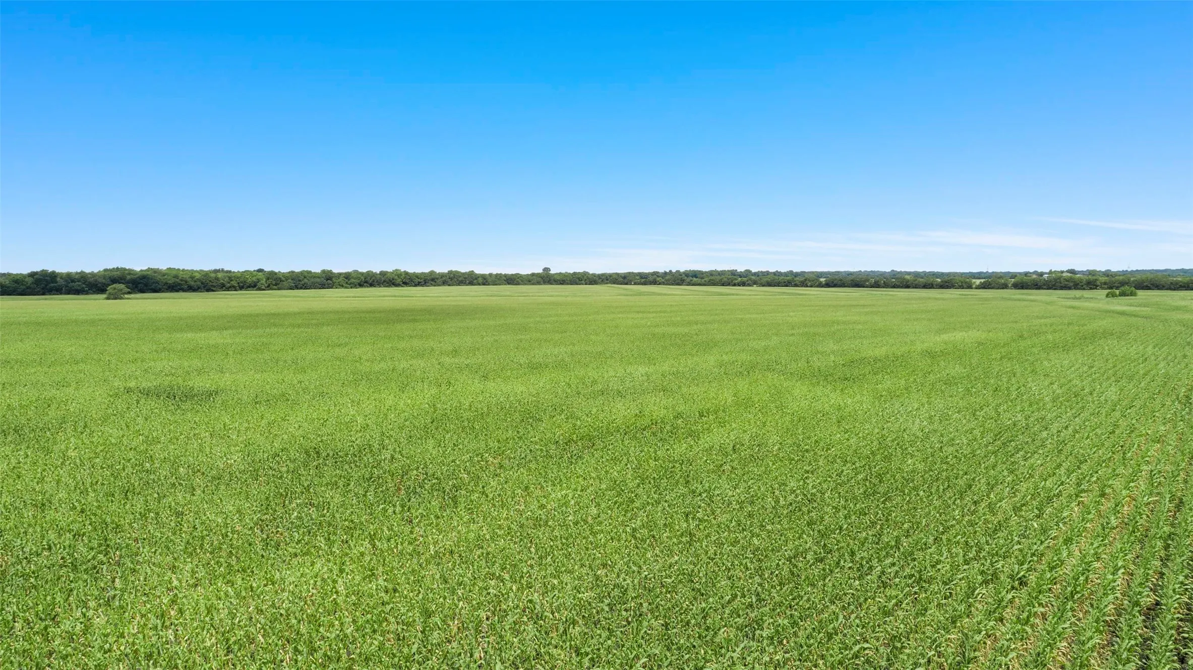 View of undeveloped land with rural landscape