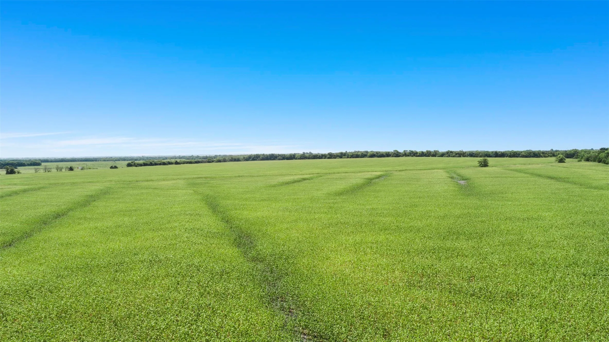 Unimproved Land For Sale in Hunt County , 104.98 acres CR-1067, Greenville, Texas 75401, 0, 0, Garage spaces, 0 Sqft, built in 0, Price $2,309,560, mls#21116957, Real Estate Agent in Greenville, Homes For Sale in Hunt county, Homes For Sale in Greenville, Realtor in Greenville Texas, Real Estate Brokerage Independent Realty Texas, Luminita Cordes Realtor