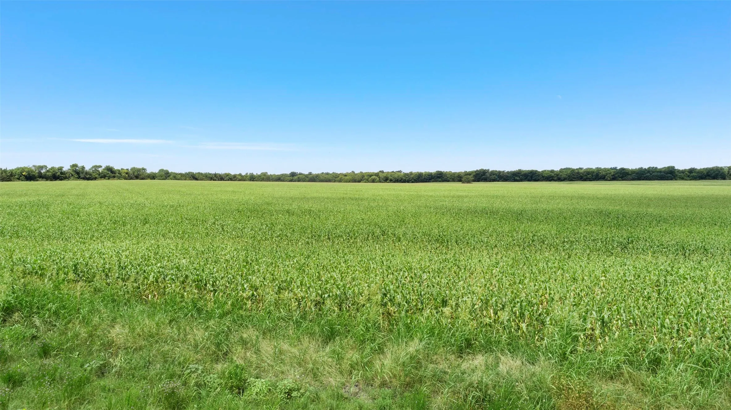 View of undeveloped land with rural landscape