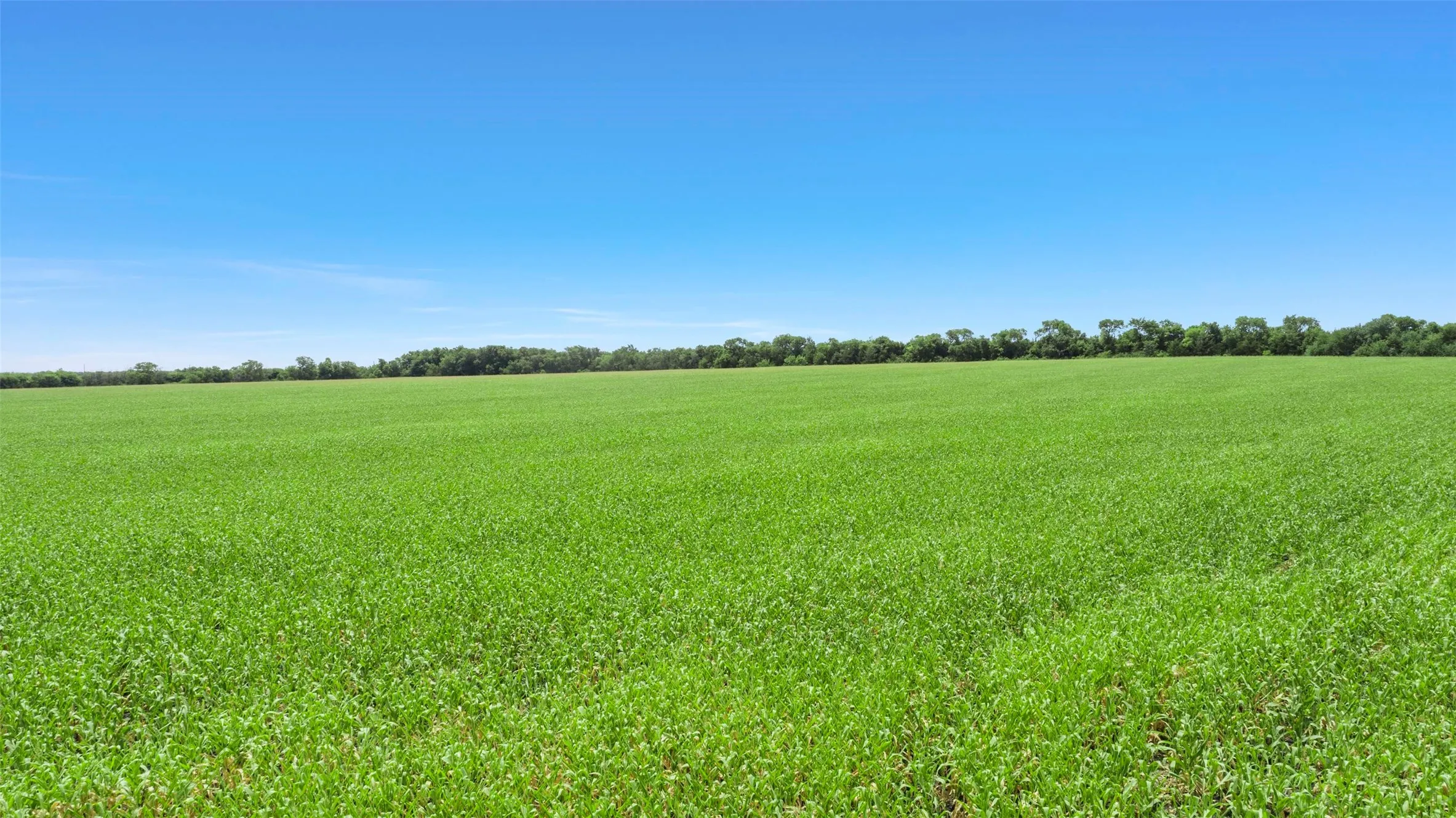 View of undeveloped land with rural landscape