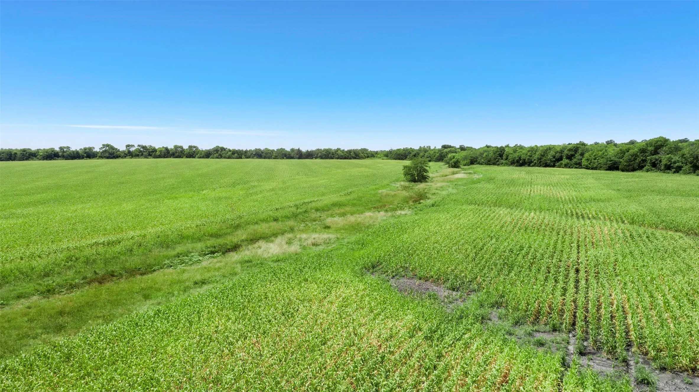 View of local wilderness with rural landscape