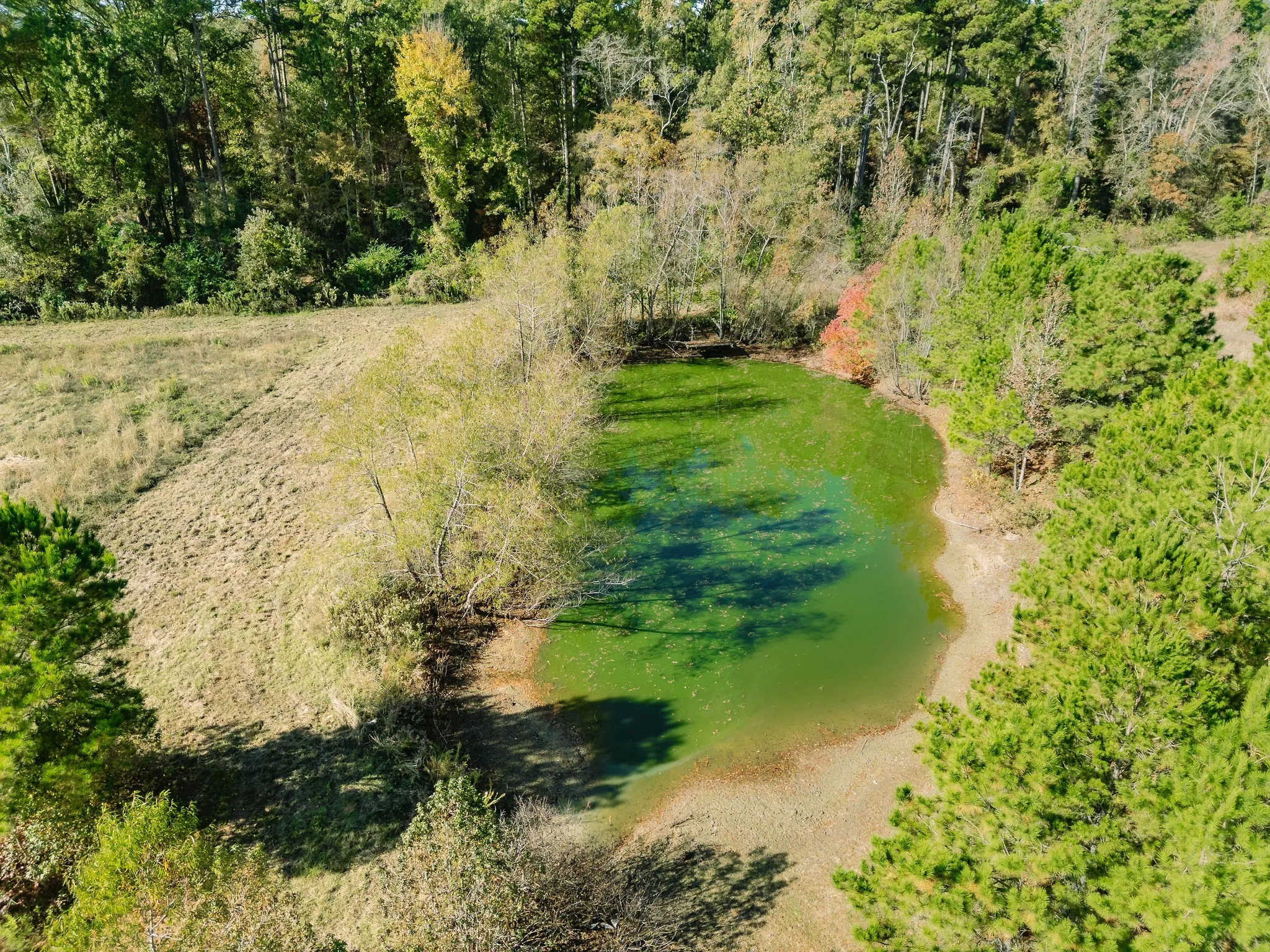Bird's eye view of a nearby body of water