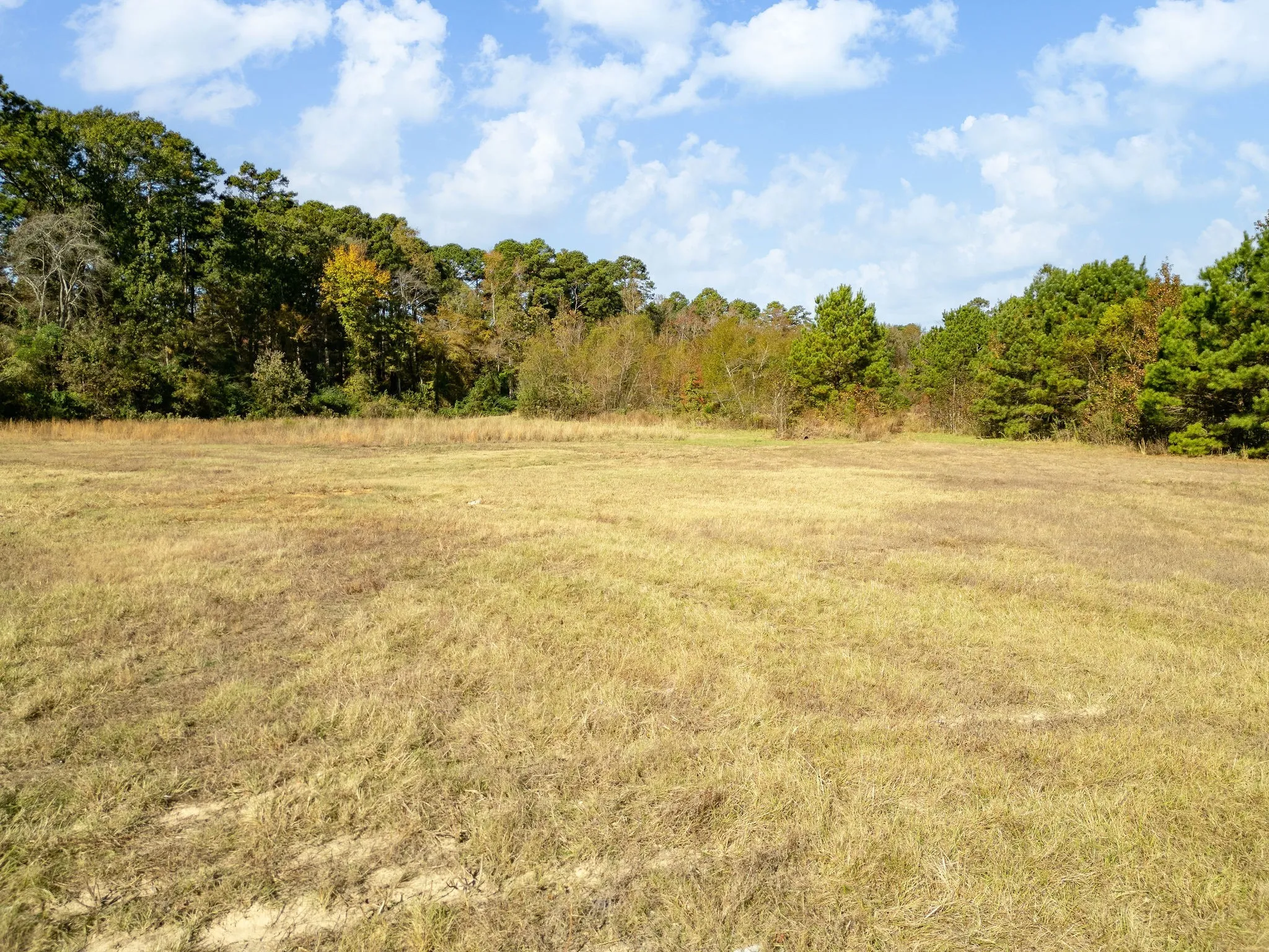 View of wooded area featuring a rural view