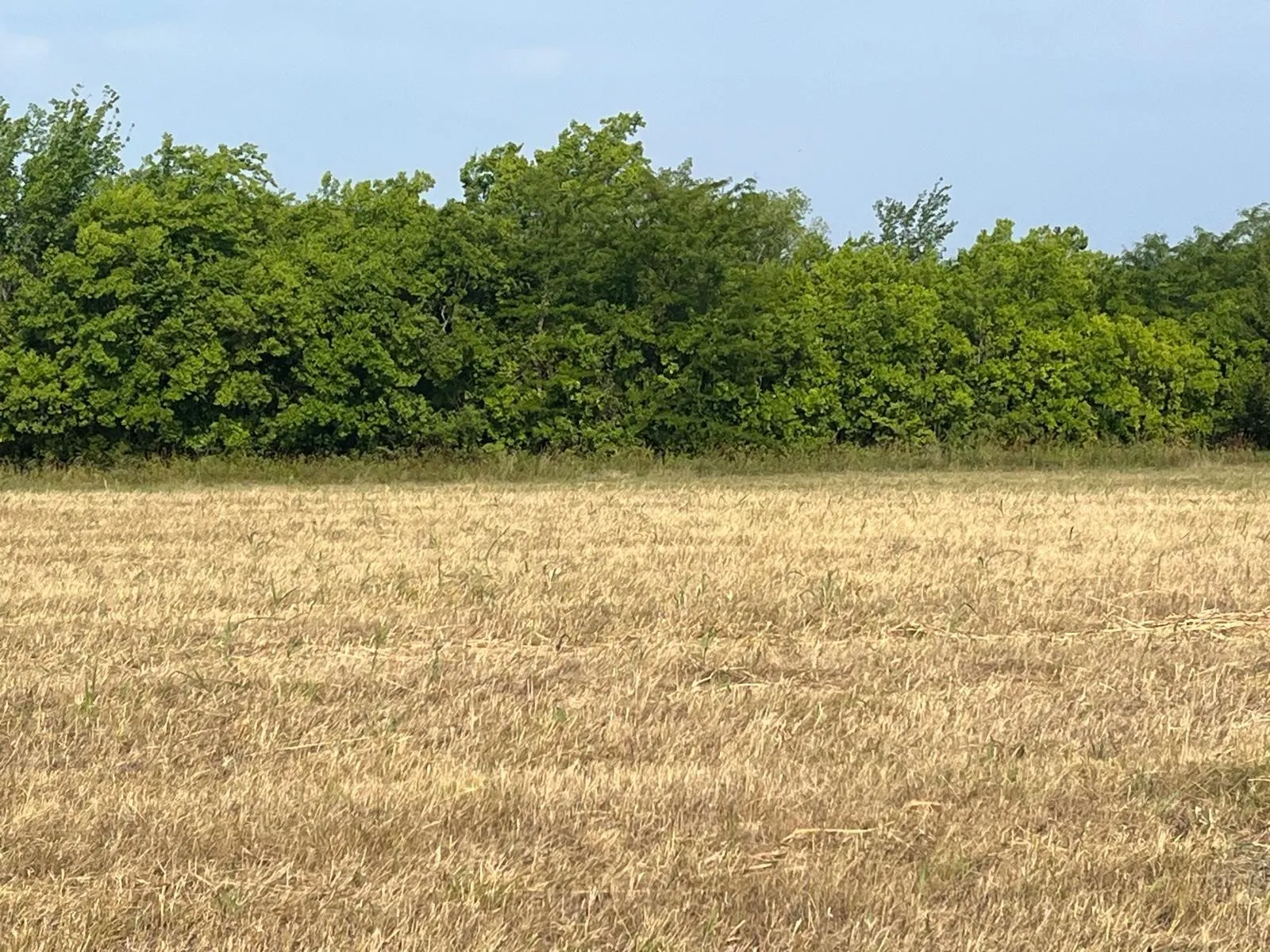 View of local wilderness featuring rural landscape