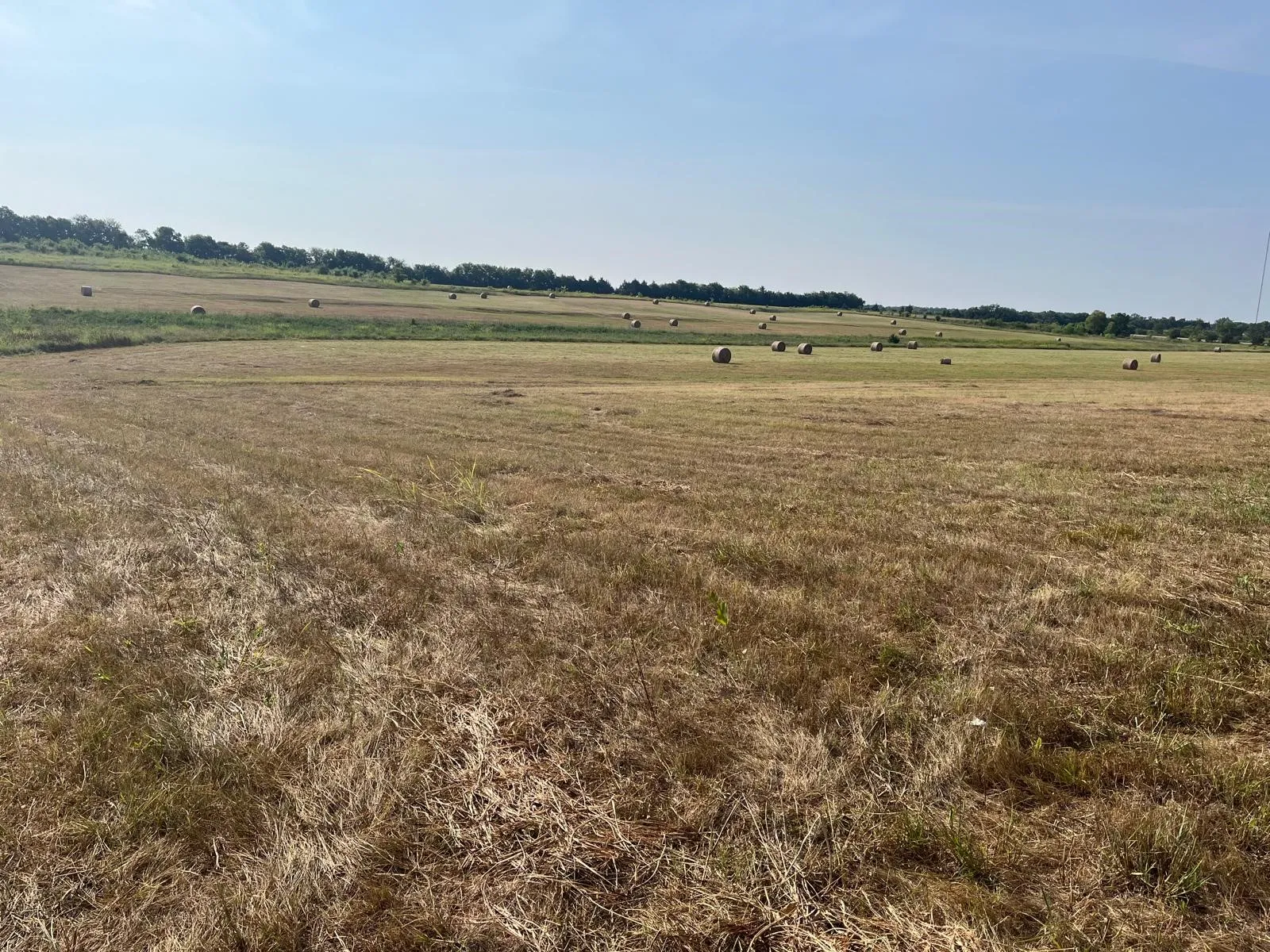 View of local wilderness with rural landscape