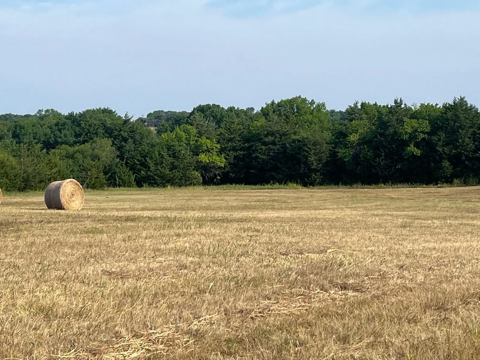 View of wooded area featuring a view of countryside