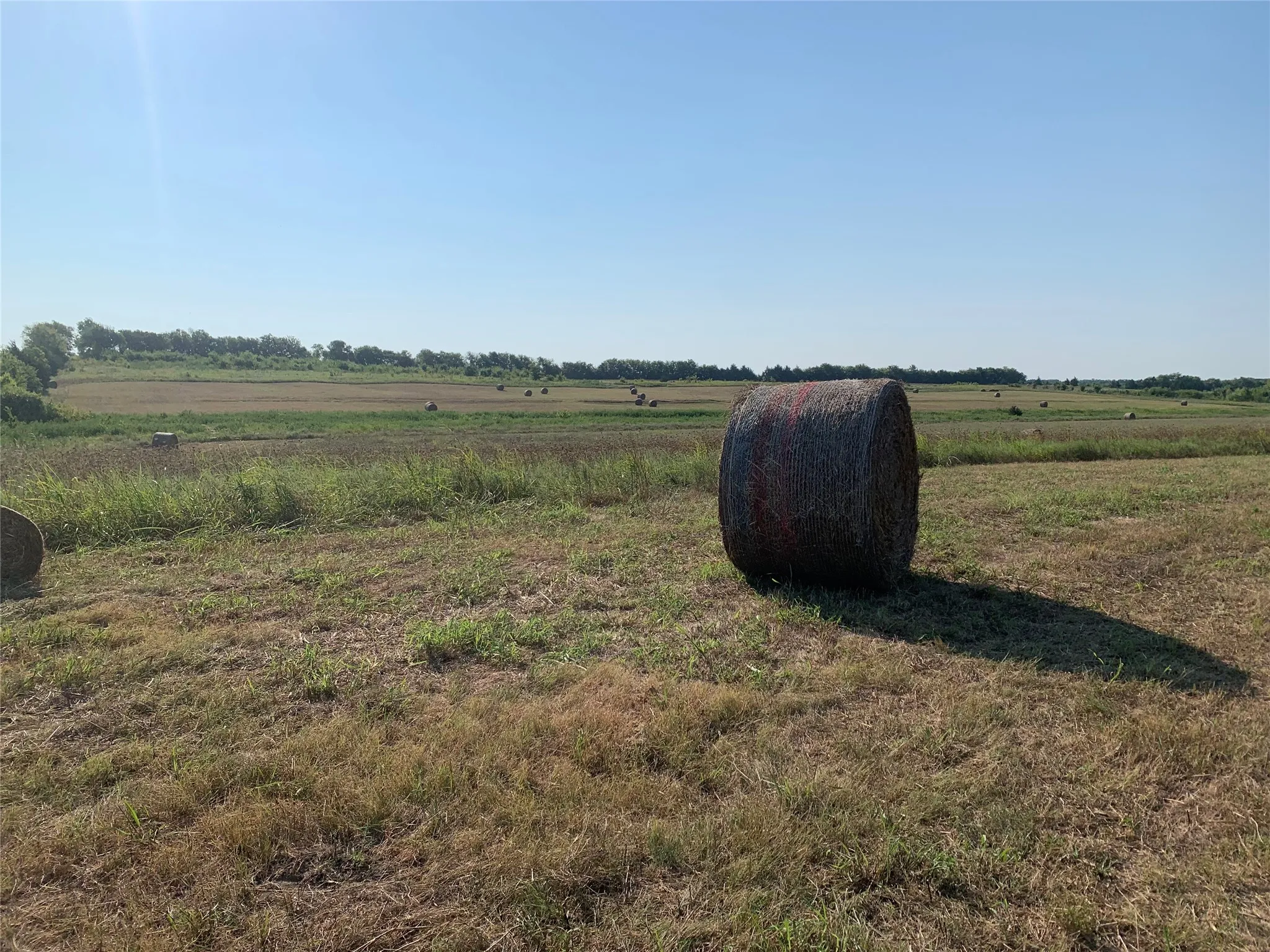 View of yard with a view of rural / pastoral area