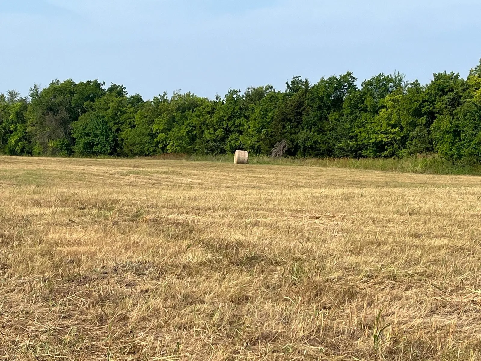 View of undeveloped land featuring rural landscape