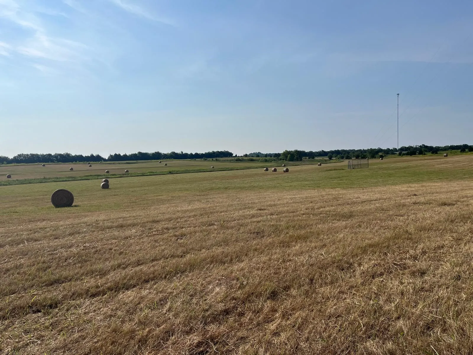 View of grassy yard with a view of rural / pastoral area