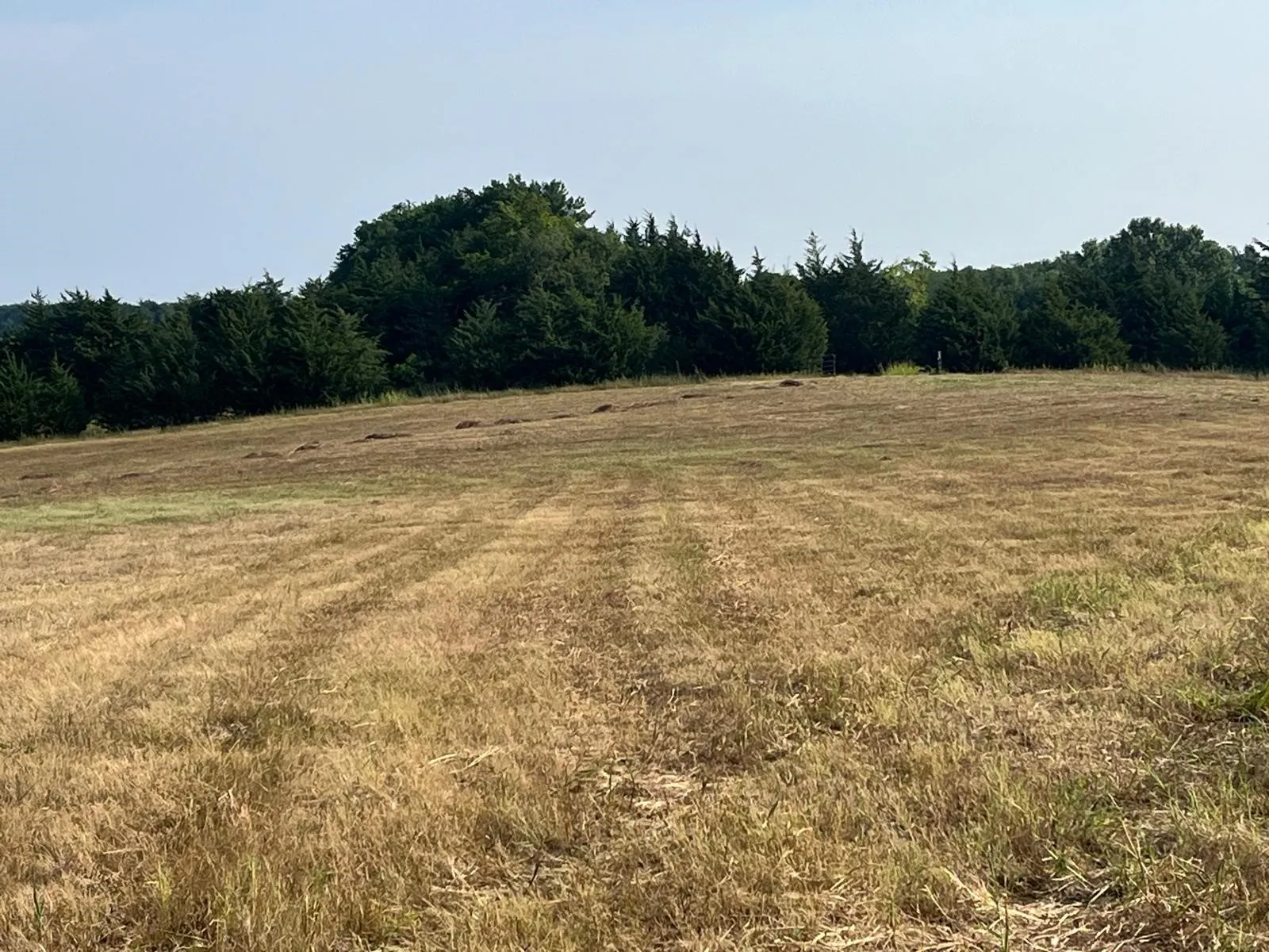 View of woods with a view of countryside