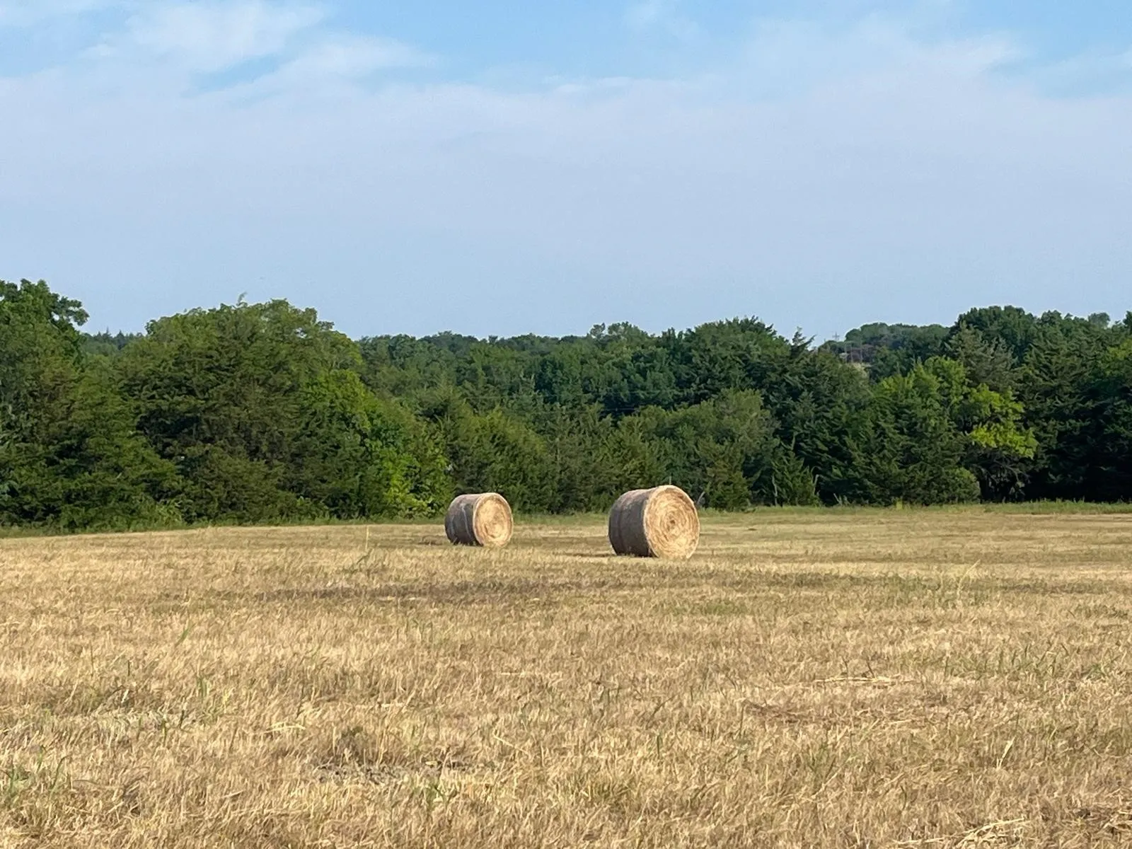 View of tree filled area with a rural view